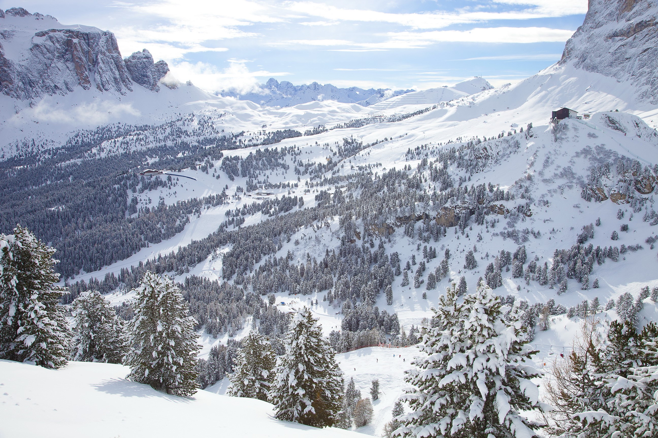 Snowy mountains with pine trees and ski slopes HD Wallpaper