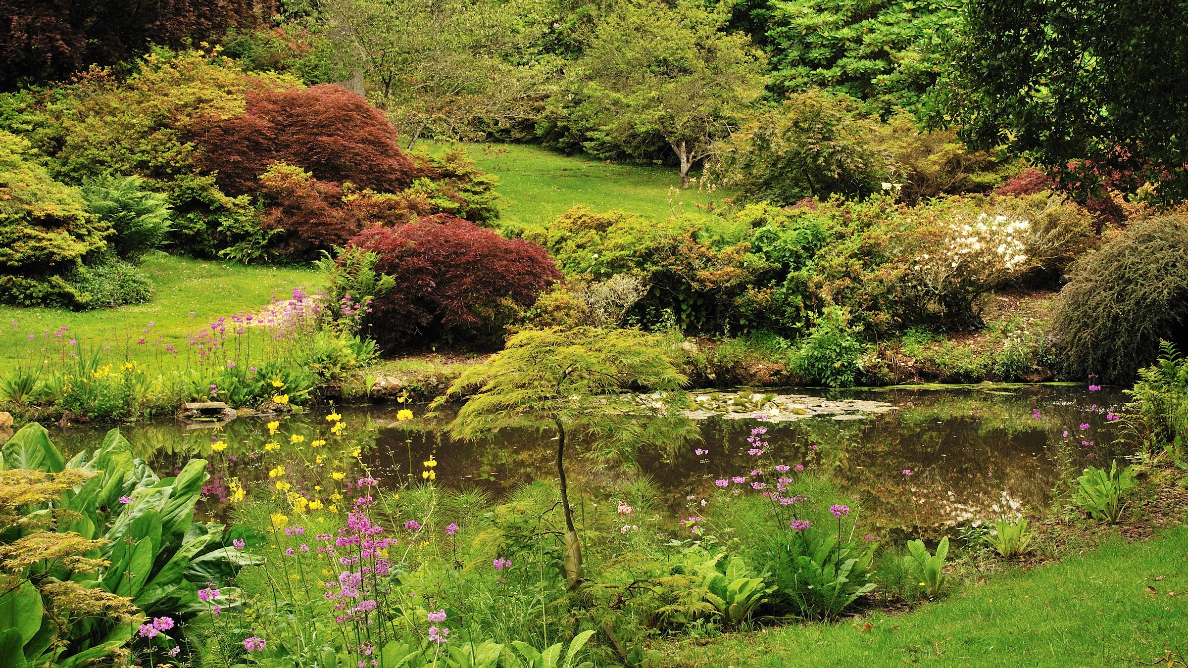 Exbury Gardens Pond with Shrubs and Flowers in England HD Wallpaper