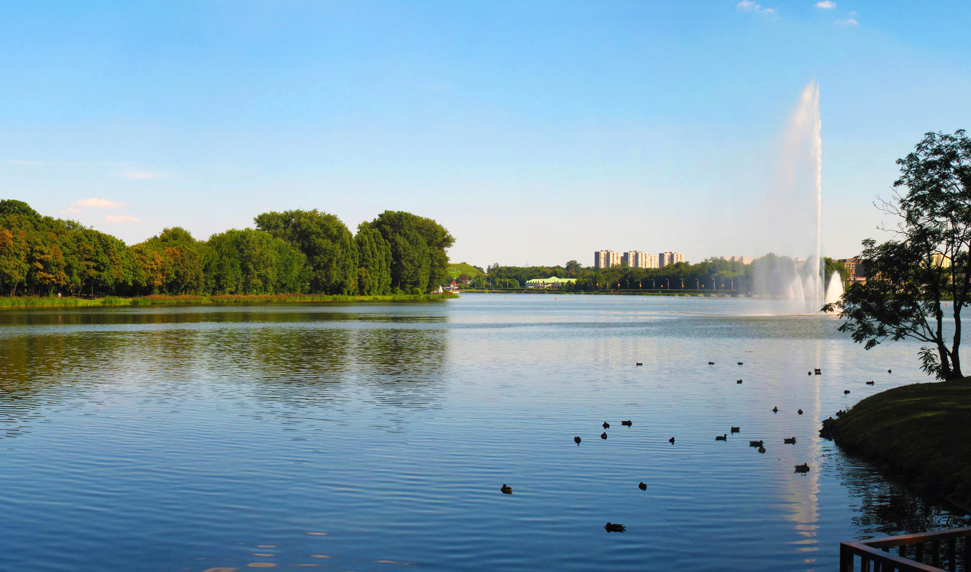 Lake with fountain and trees in Poznan, Poland HD Wallpaper