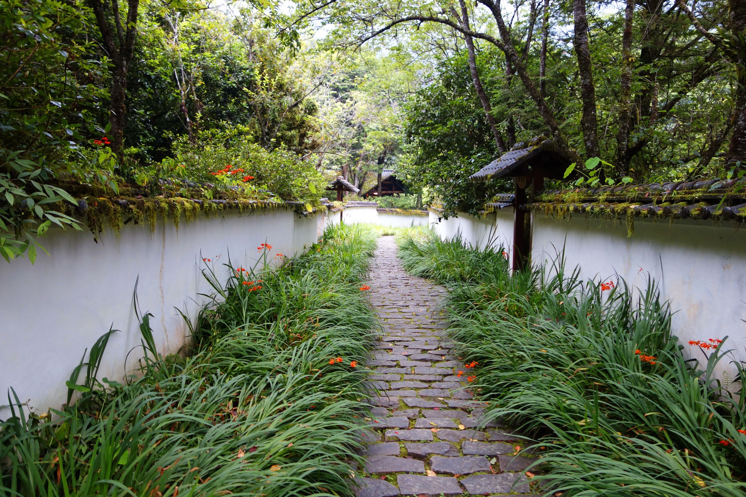 Stone pathway through a garden with white walls and trees HD Wallpaper