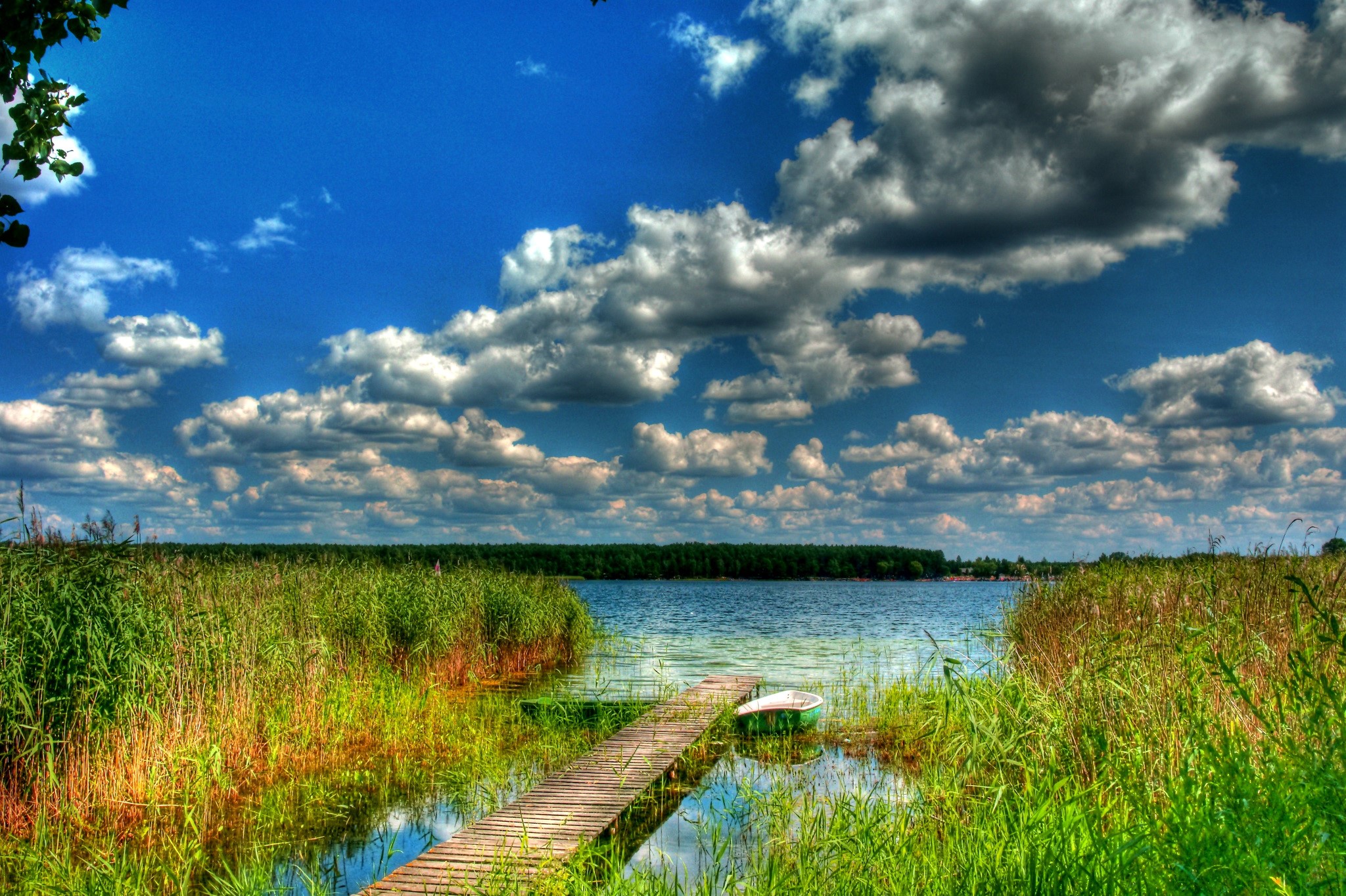 Wooden pier on a lake with reeds and clouds HD Wallpaper