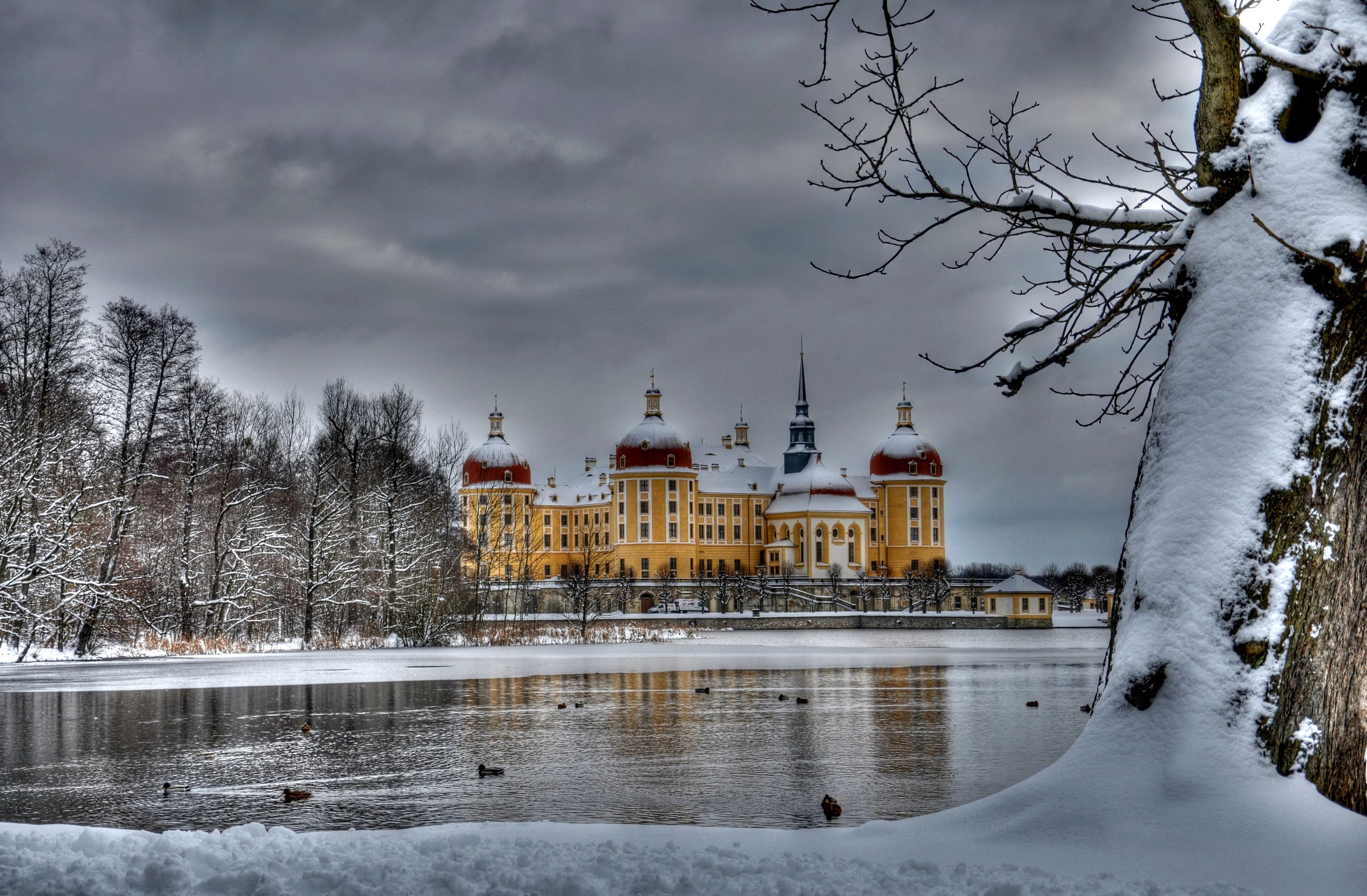 Moritzburg Castle in winter, Germany HD Wallpaper