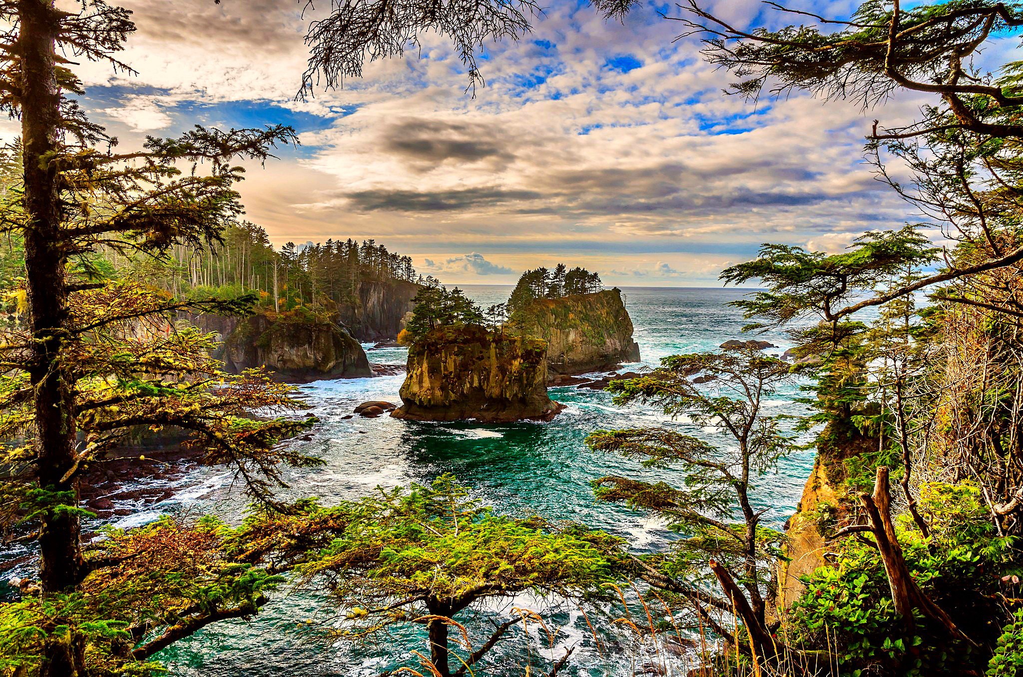 Cape Flattery Sea Stacks and Forest in Washington HD Wallpaper