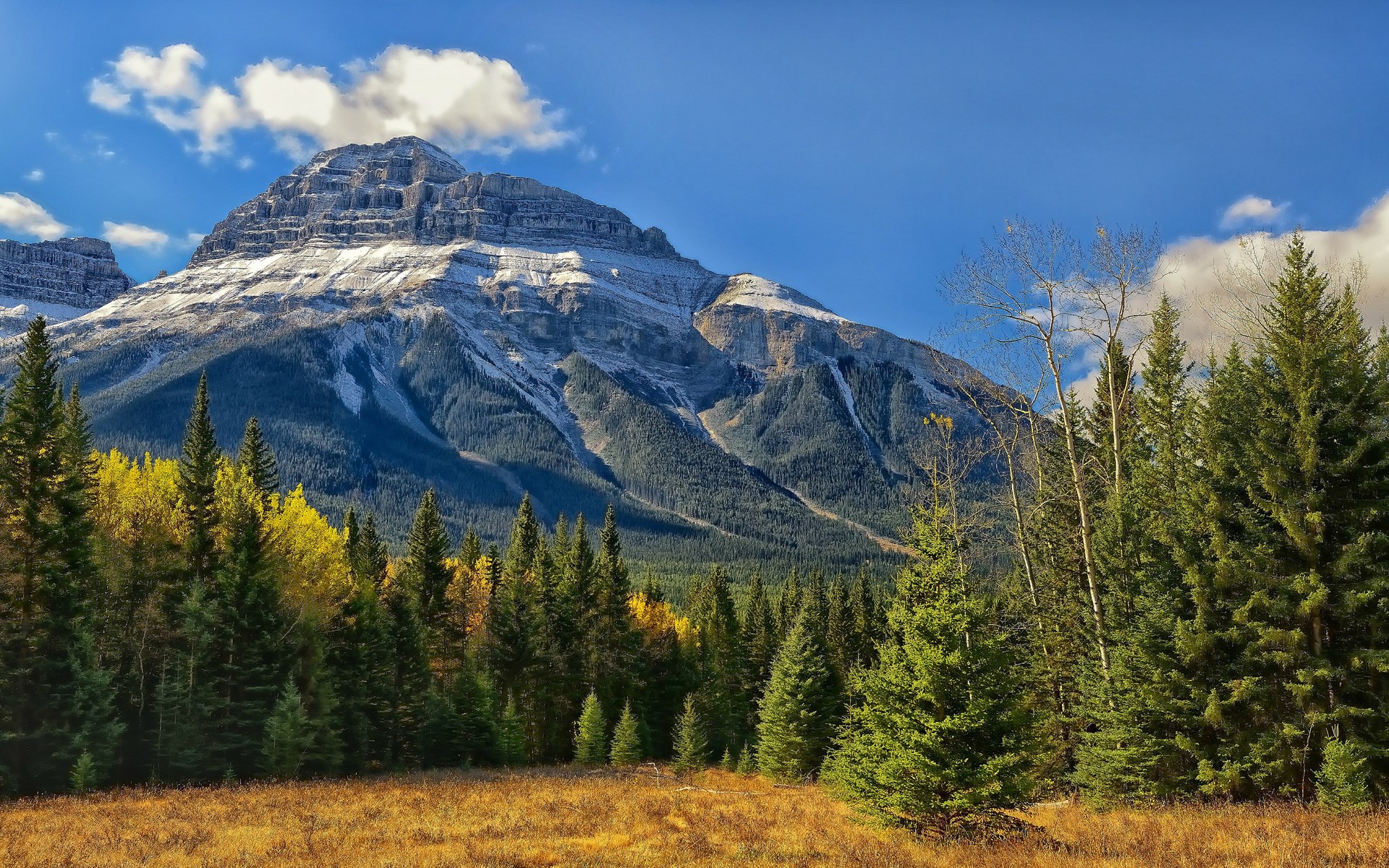 Mountain peak with snow and trees in autumn HD Wallpaper