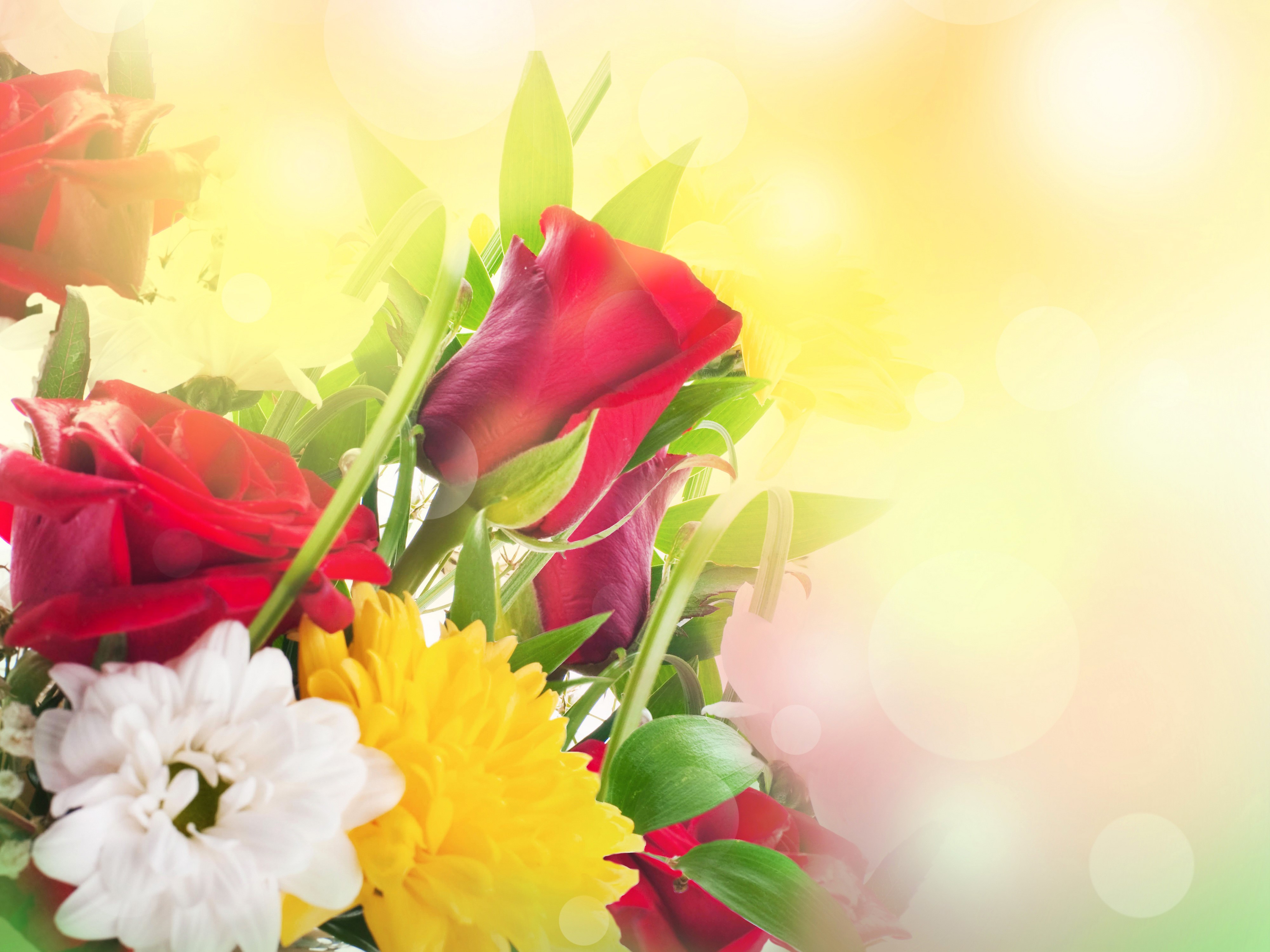 4K Roses and Chrysanthemums Bouquet HD Wallpaper