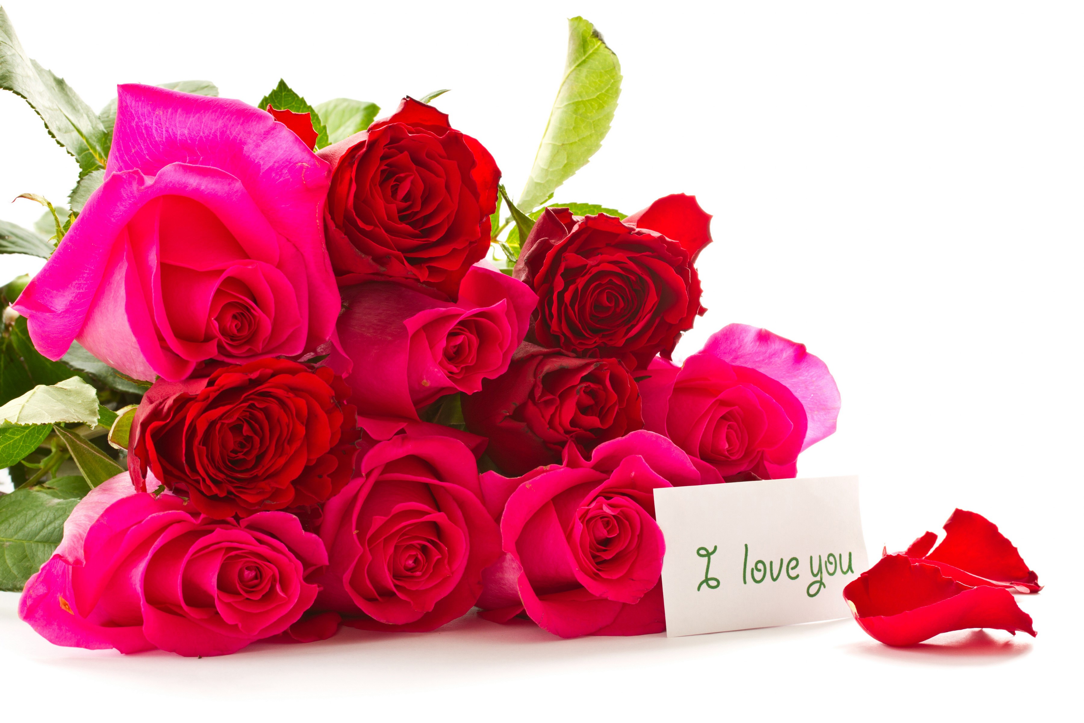 Bouquet of red and pink roses with a card HD Wallpaper