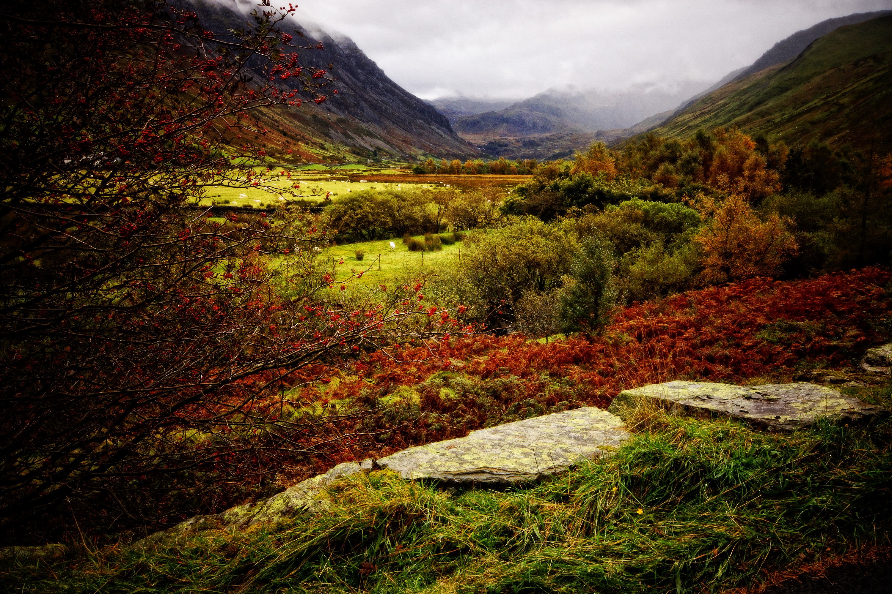Valley in the United Kingdom with mountains and autumn foliage HD Wallpaper