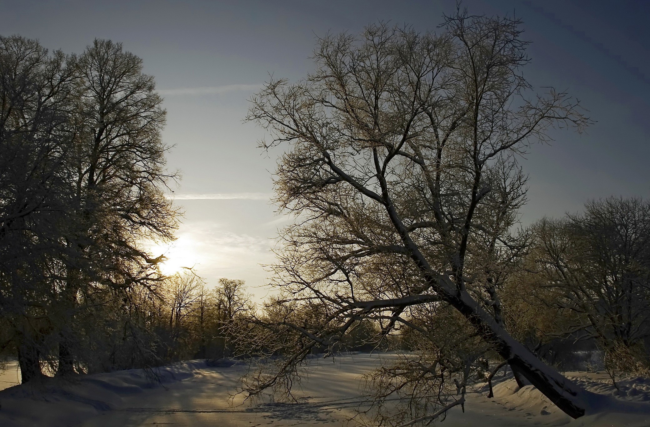 Winter sunrise over a snow-covered landscape with trees HD Wallpaper