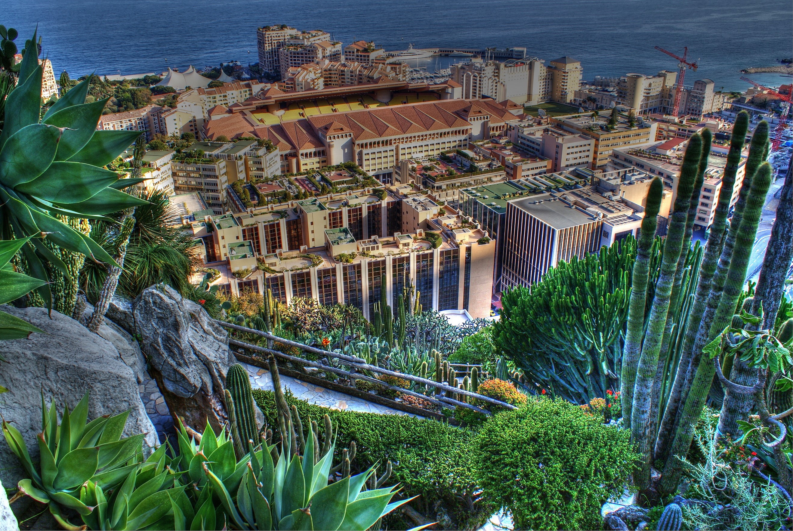 View of Fontvieille, Monaco from a cactus garden HD Wallpaper