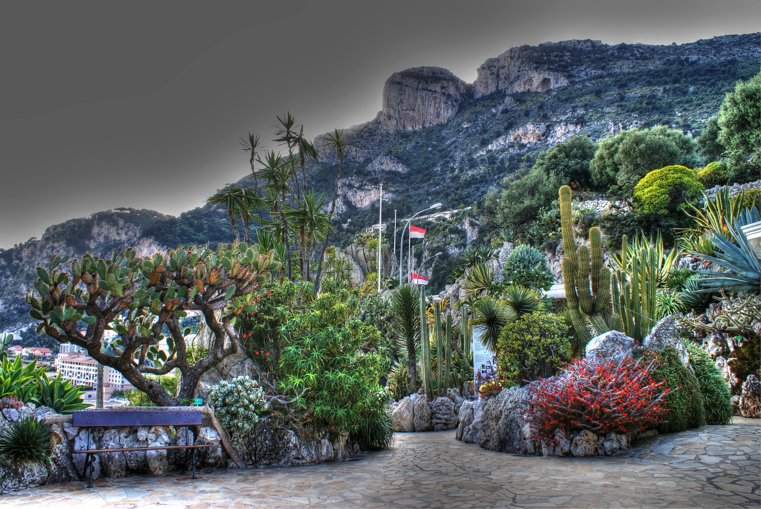 Jardin Exotique de Monaco with cacti and mountains HD Wallpaper