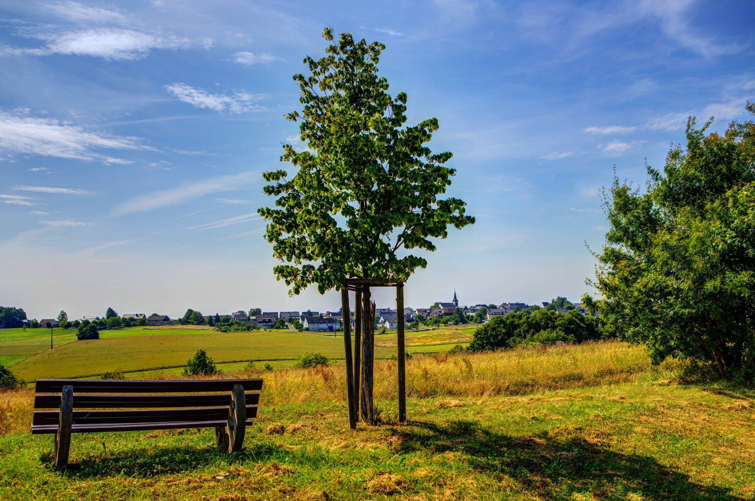 Bench and tree in a German landscape with a village HD Wallpaper