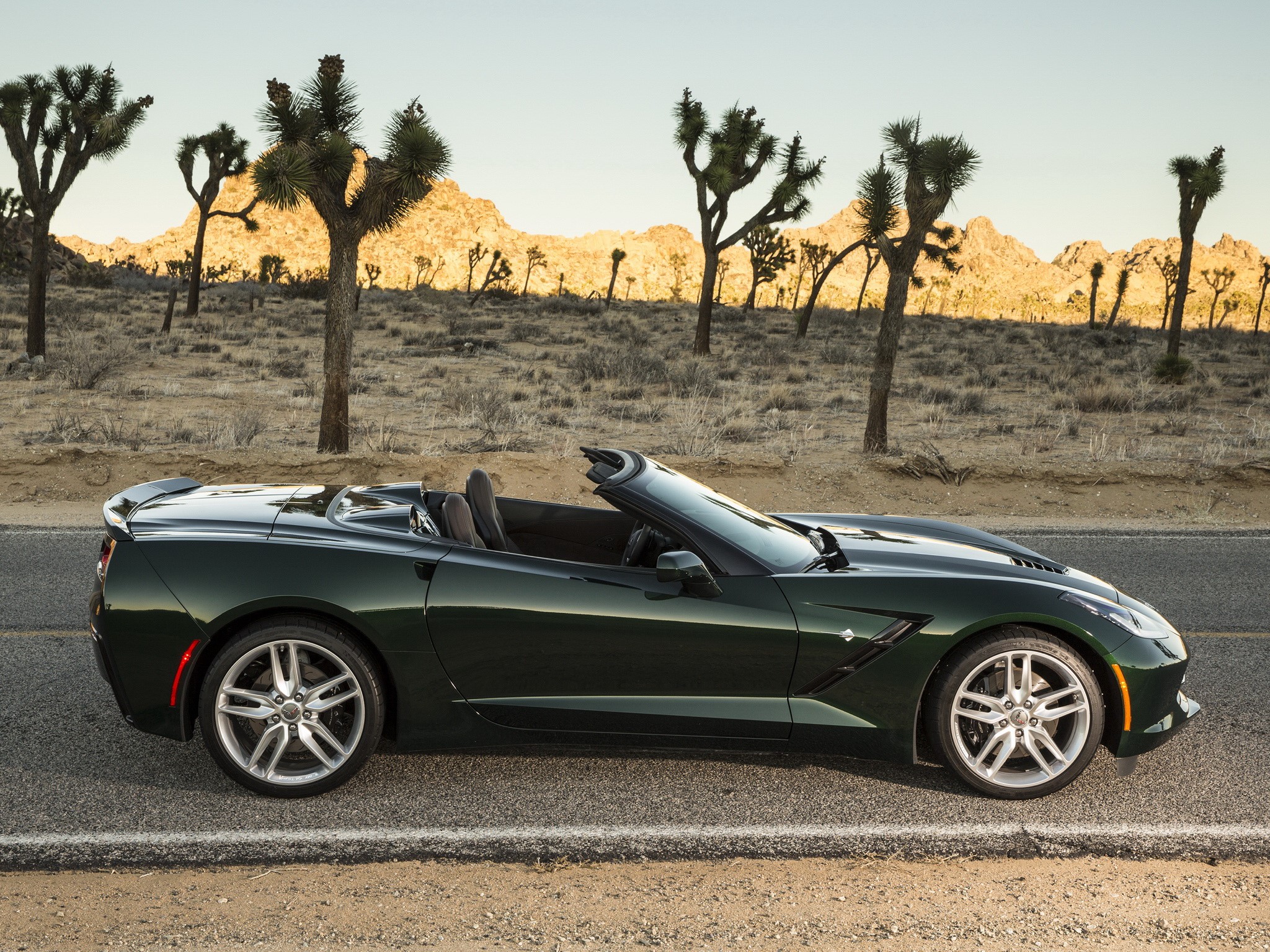 Green Chevrolet Corvette C7 Stingray Convertible HD Wallpaper