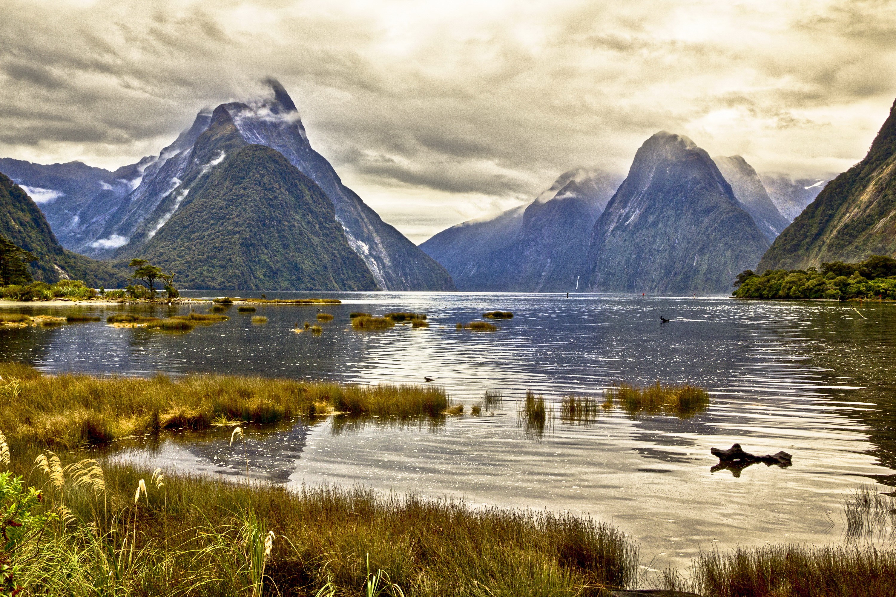 Milford Sound, New Zealand Mountains and Lake HD Wallpaper