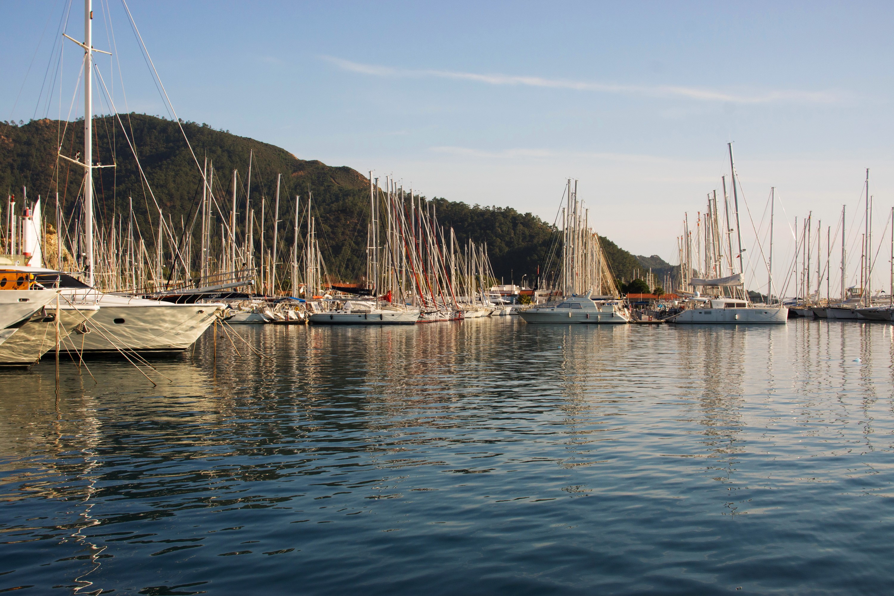 Sailboats docked in a harbor with a forested hill in the background HD Wallpaper