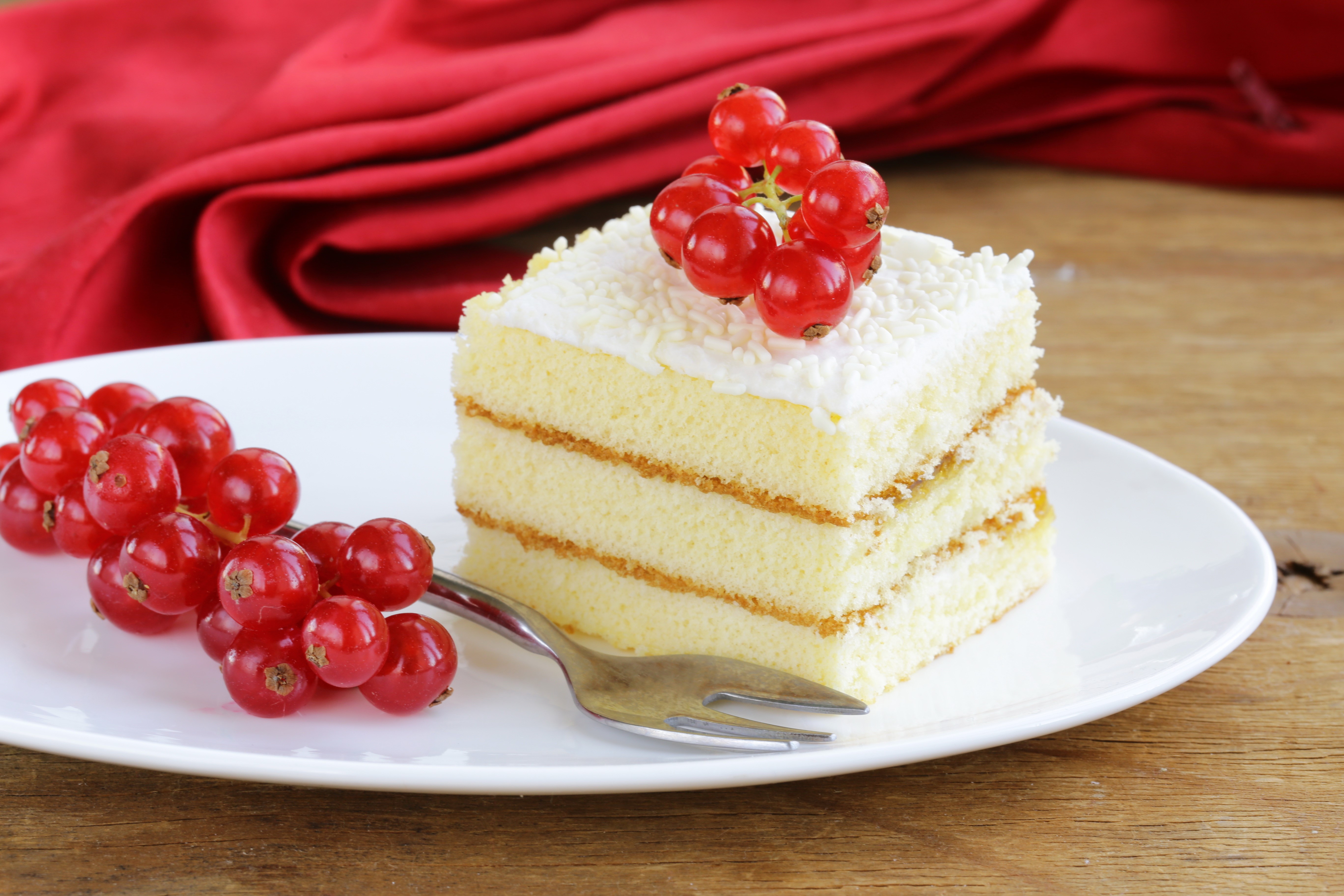 Slice of cake with currants on a plate HD Wallpaper