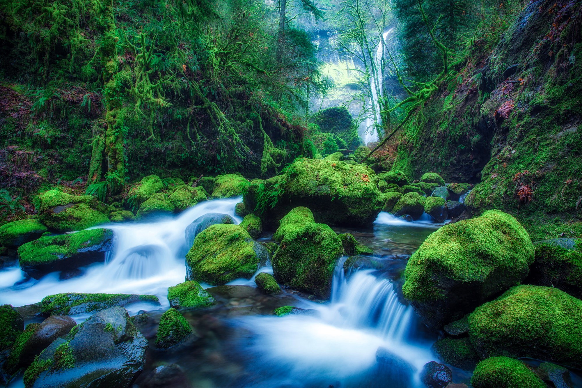 Mossy Rocks and Waterfall in Elowah Falls, Oregon HD Wallpaper