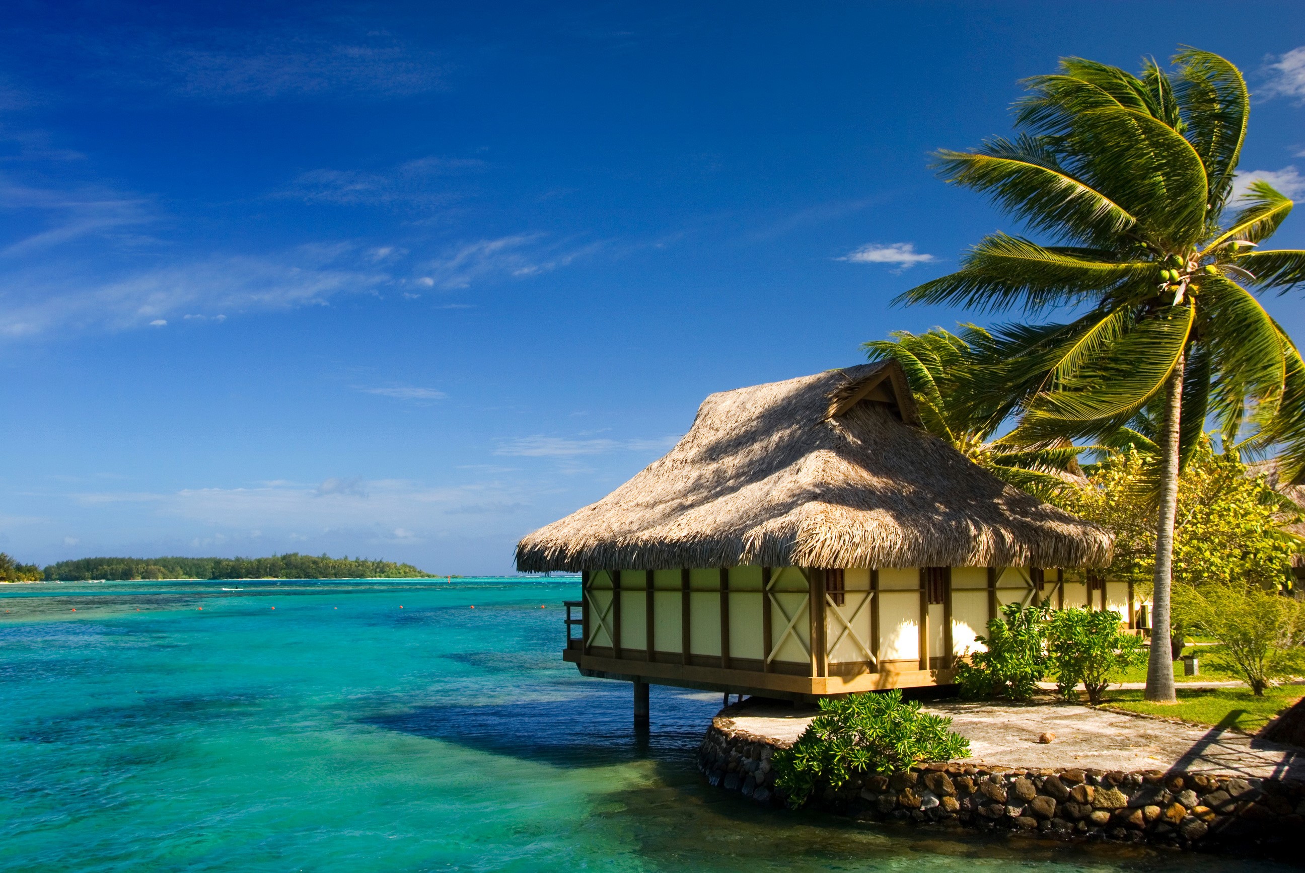 Overwater bungalow in Moorea, French Polynesia with palm trees HD Wallpaper