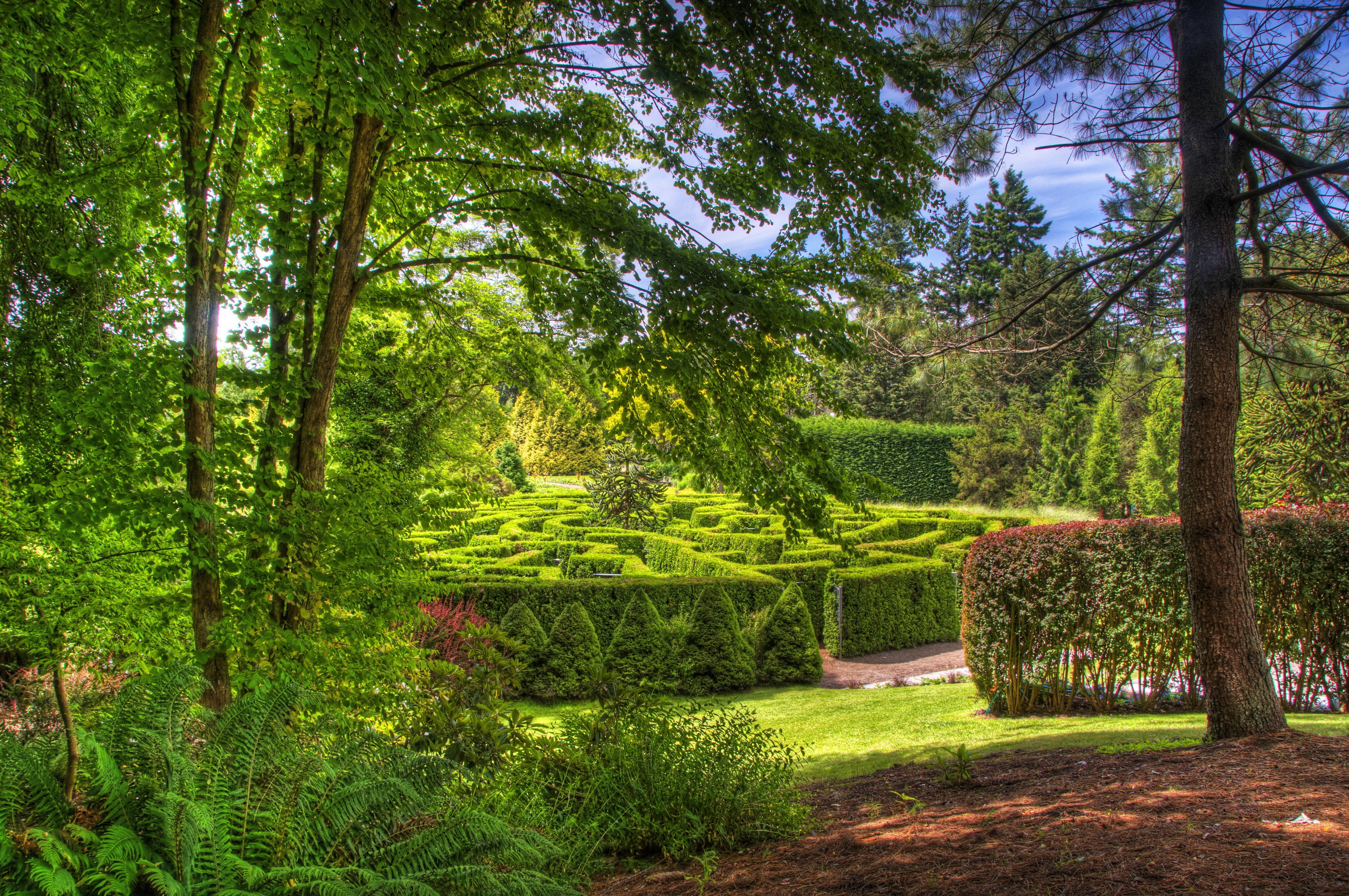VanDusen Botanical Garden Maze in Vancouver, Canada HD Wallpaper