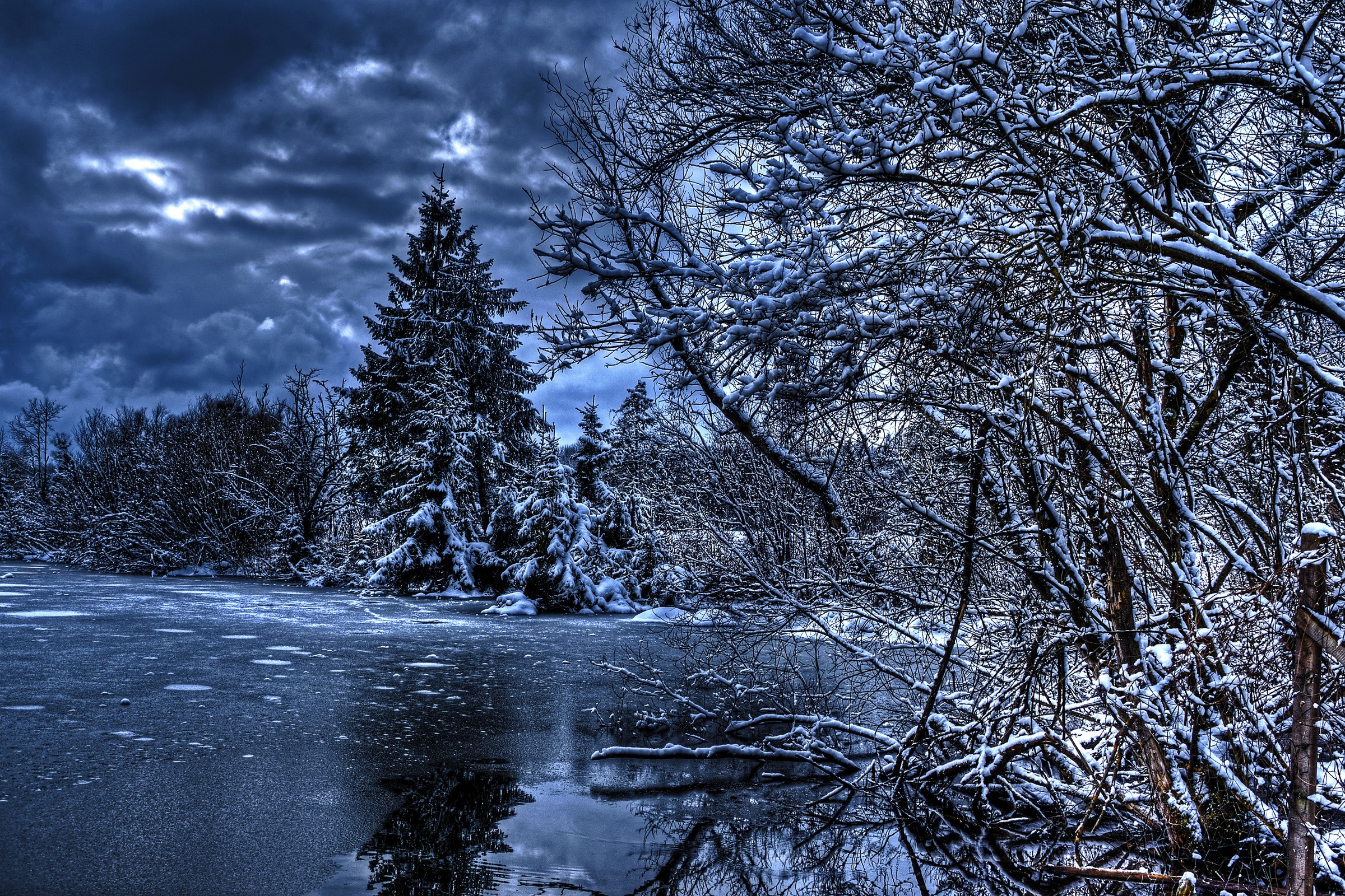 Winter scene with snow-covered trees and frozen water HD Wallpaper