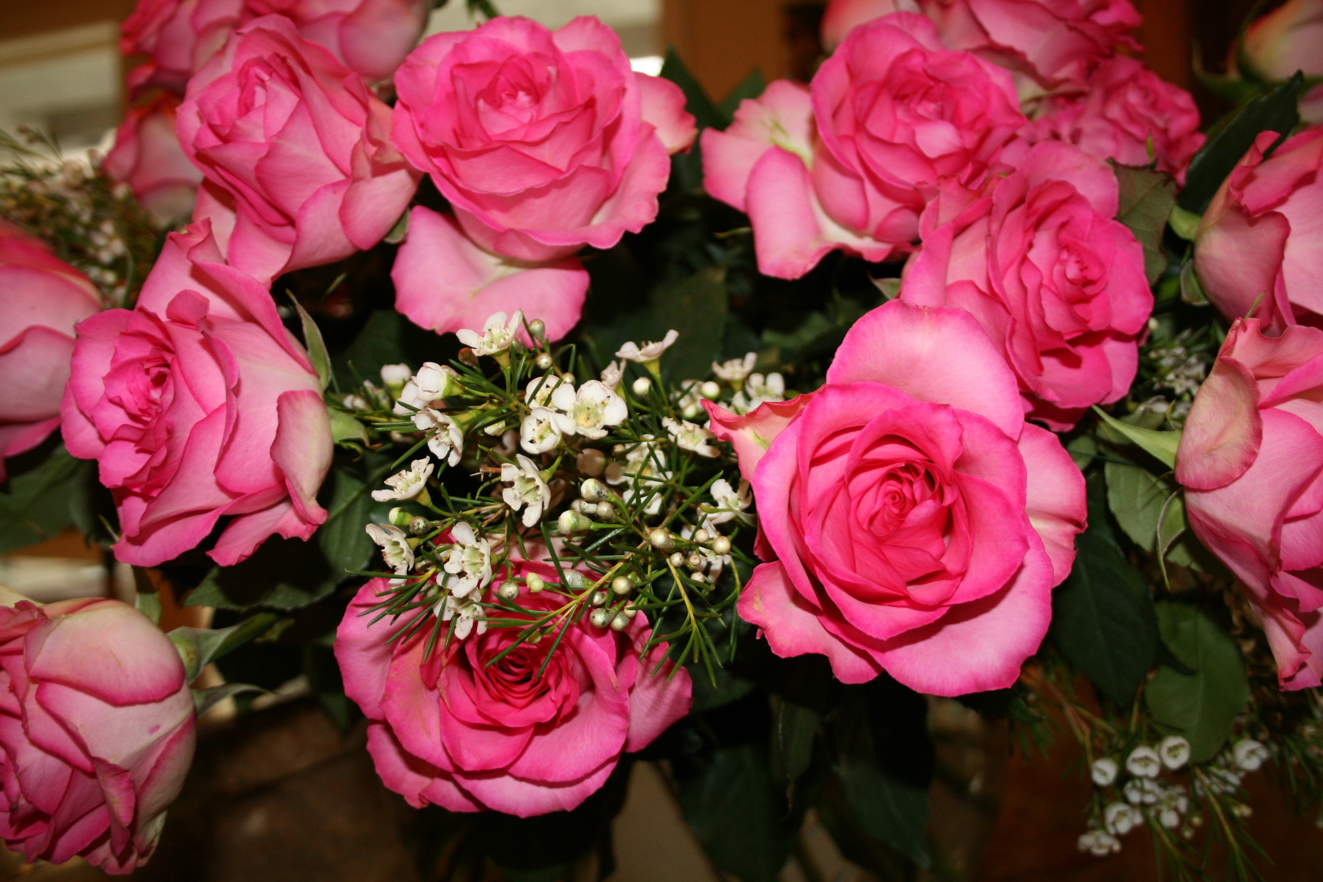 A bouquet of pink roses with small white flowers HD Wallpaper