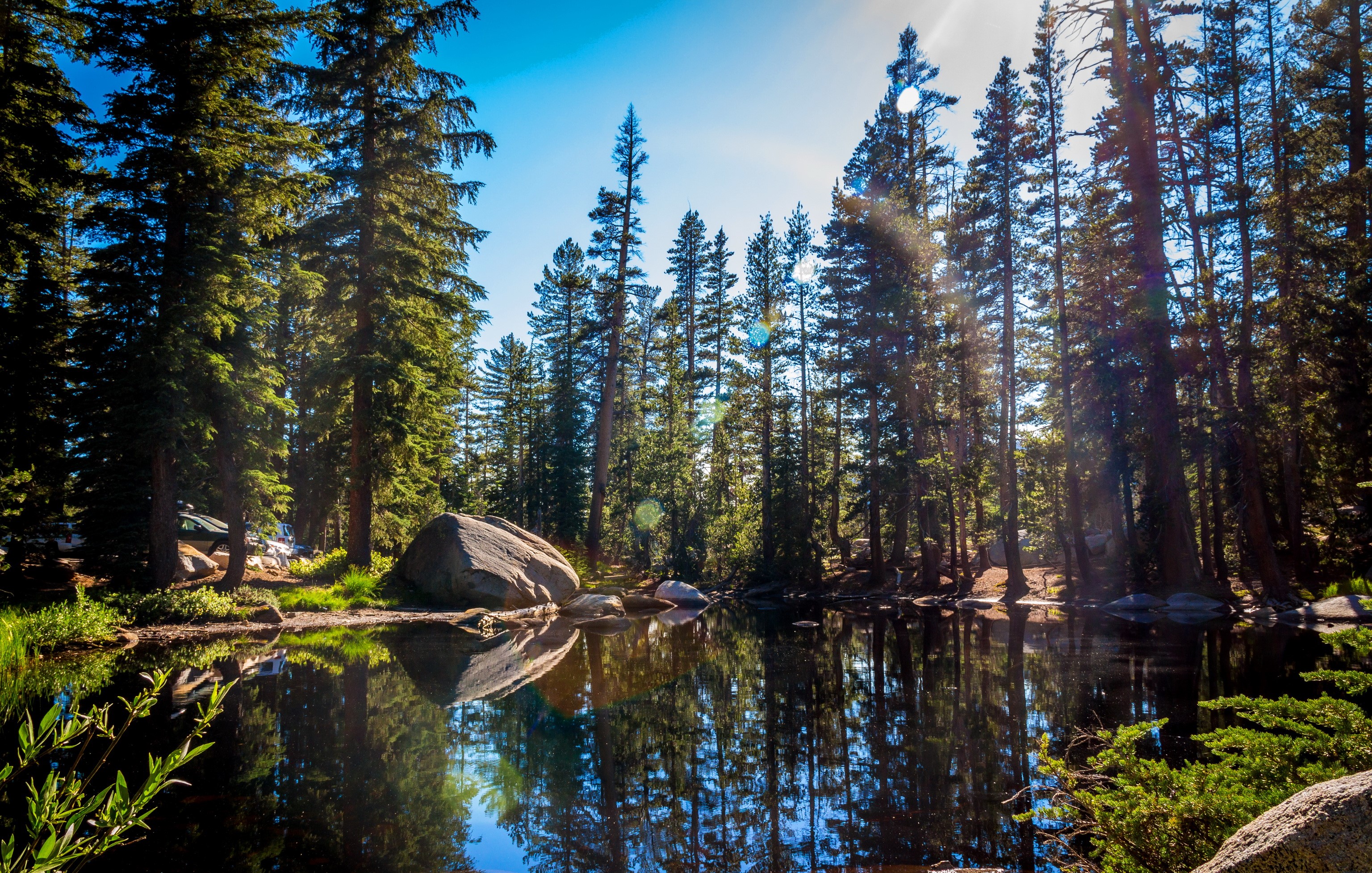 Forest lake with reflections in Yosemite National Park HD Wallpaper