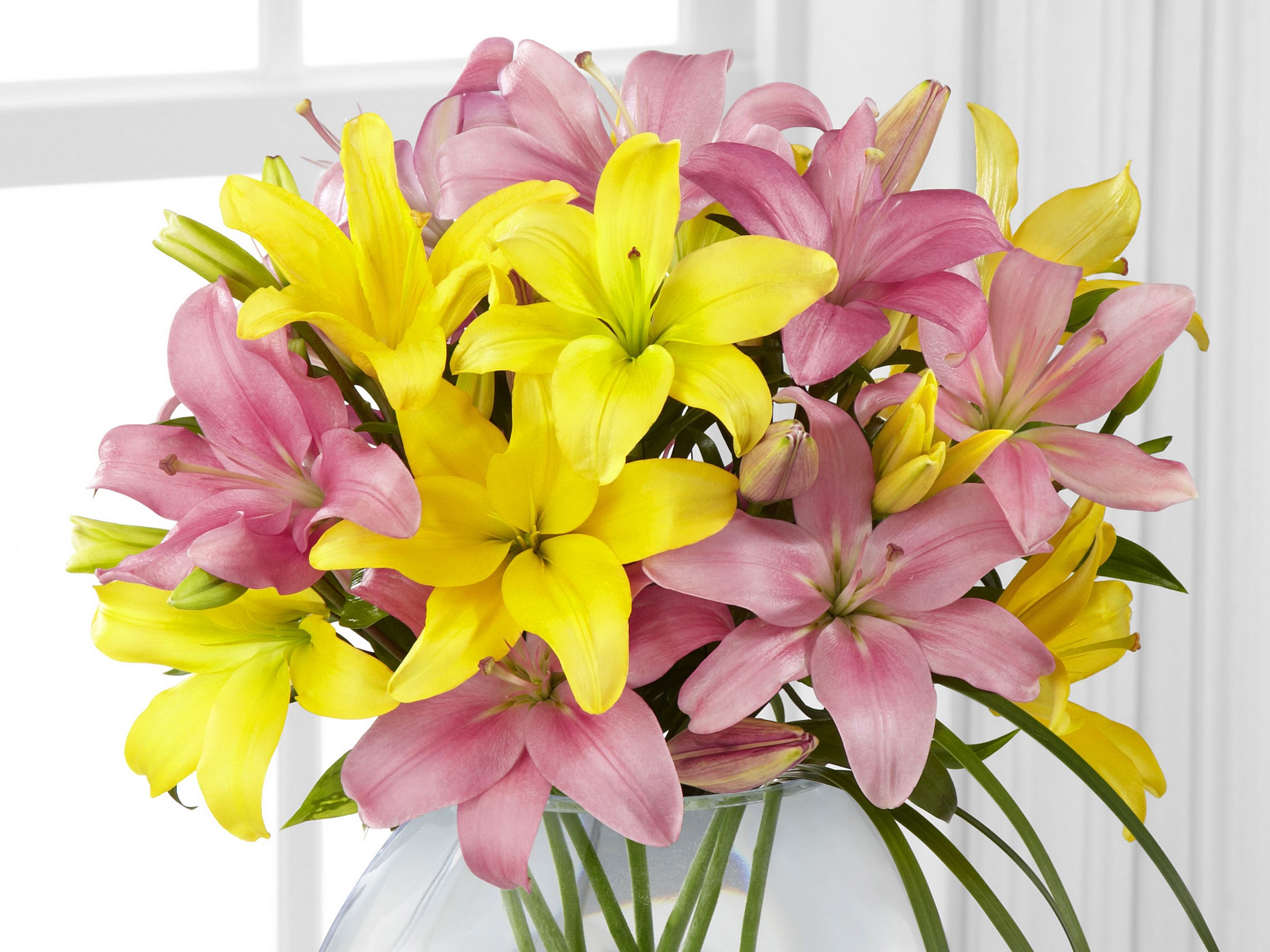 Bouquet of Pink and Yellow Lilies HD Wallpaper