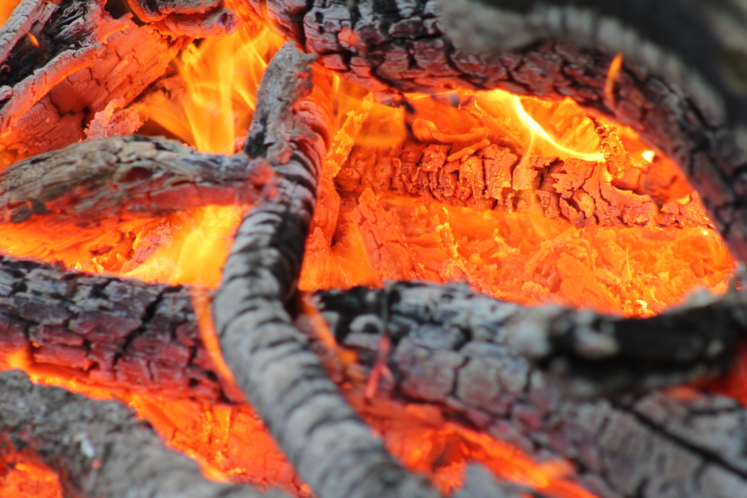 Close-up of burning logs and flames HD Wallpaper
