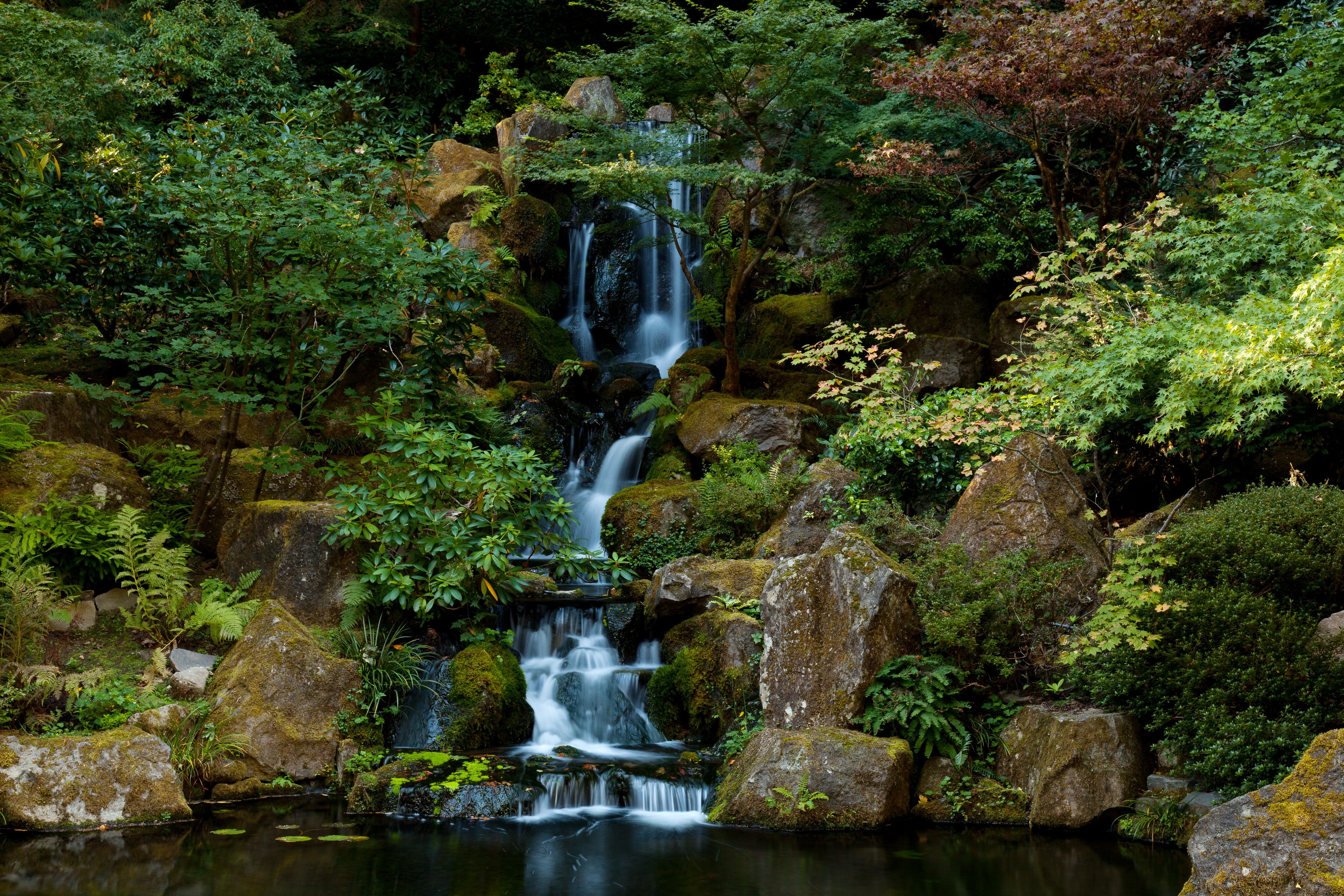 Waterfall in a Japanese Garden in Portland, Oregon HD Wallpaper