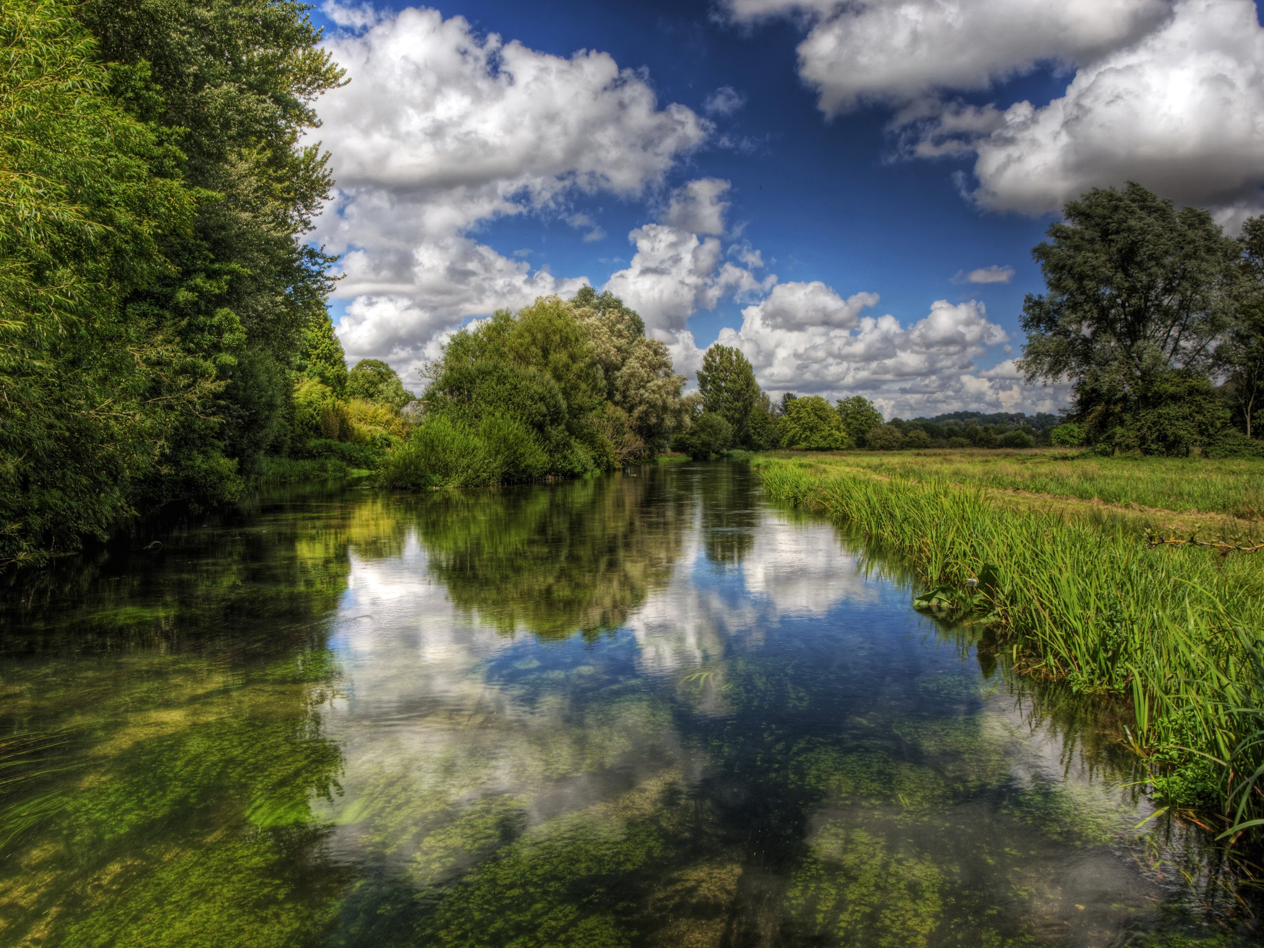 River Itchen in Winchester, England HD Wallpaper