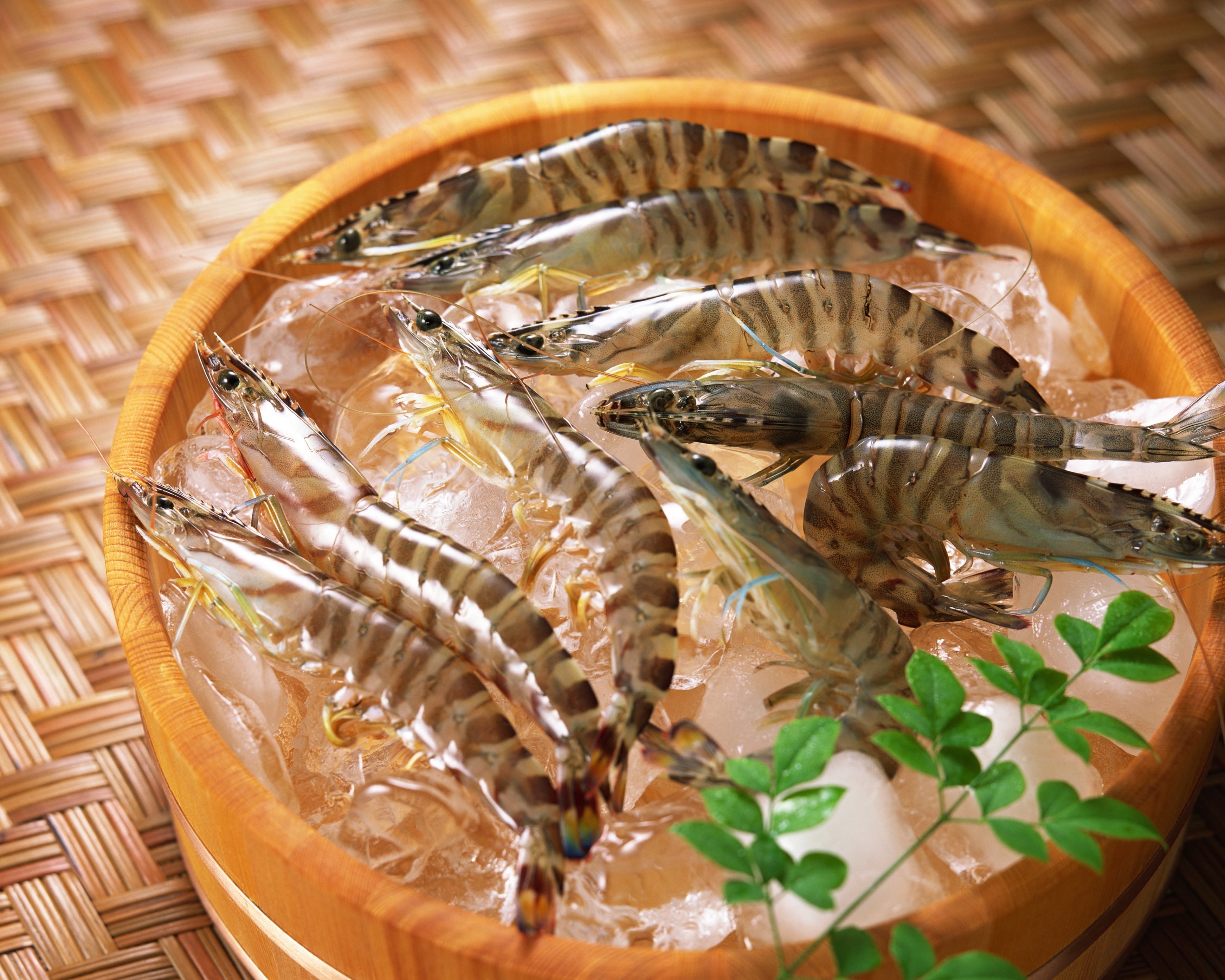Fresh Tiger Prawns on Ice in a Wooden Bucket HD Wallpaper
