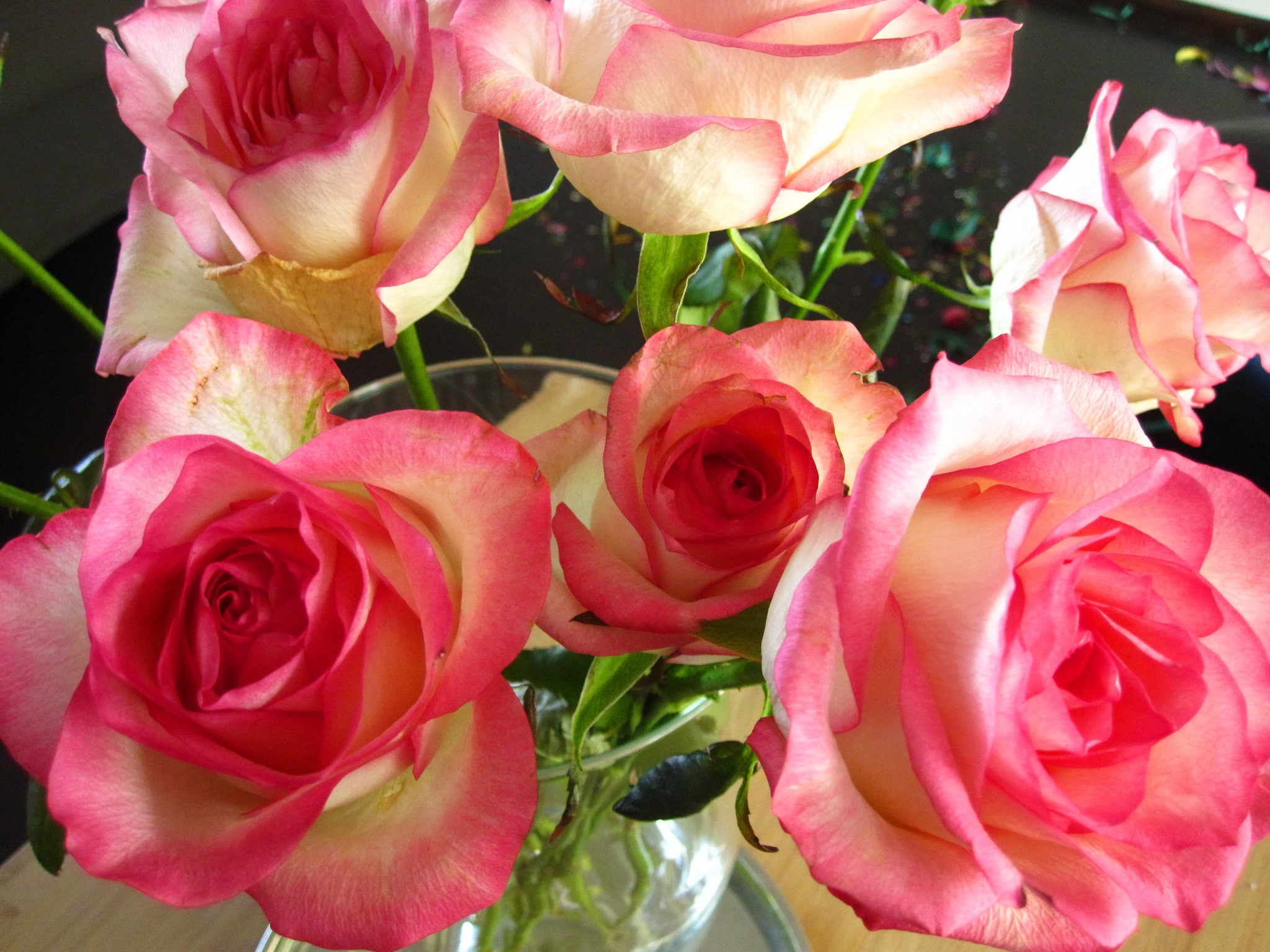 Pink and white roses in a vase HD Wallpaper