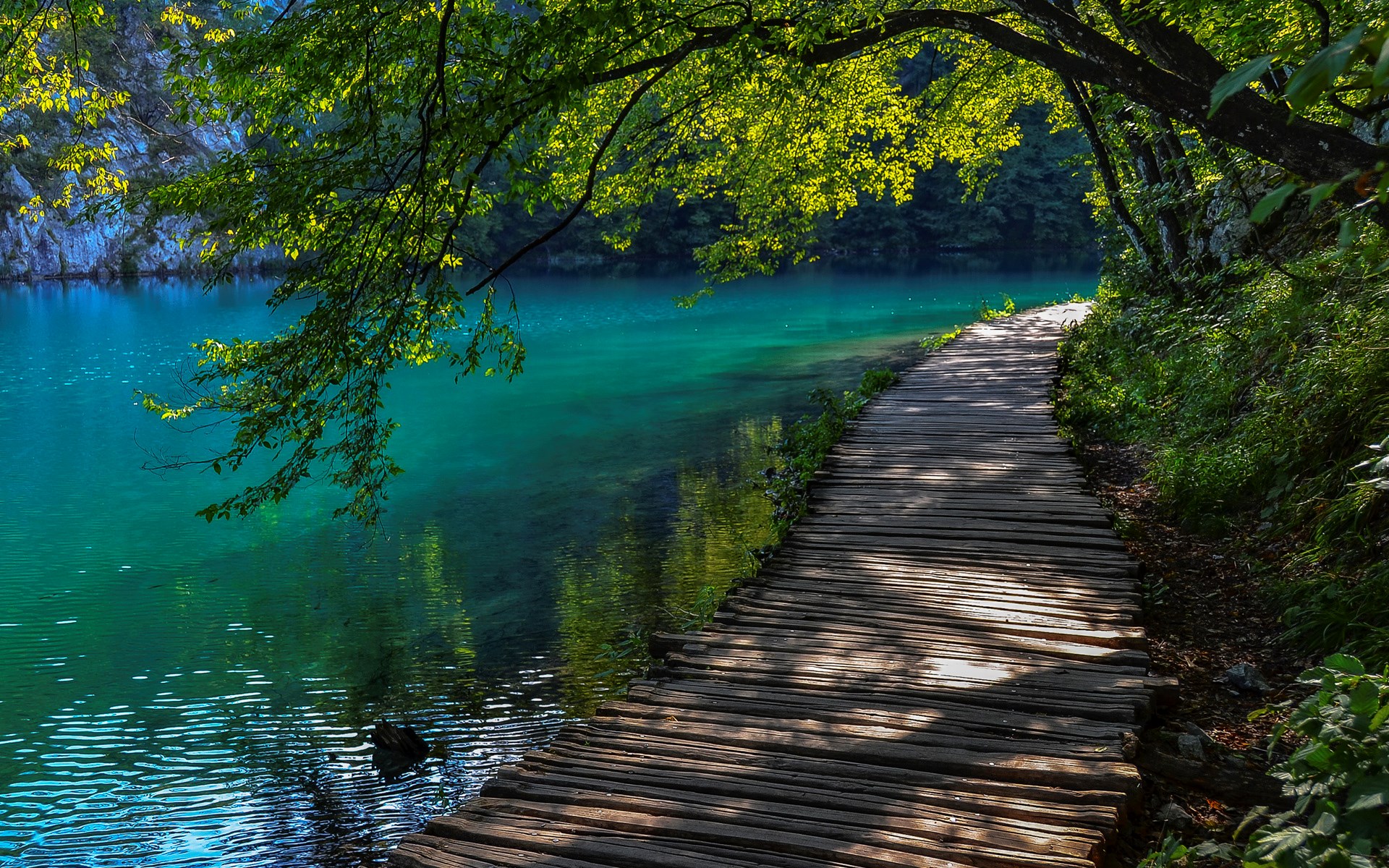 Wooden boardwalk along a turquoise lake in a forest HD Wallpaper