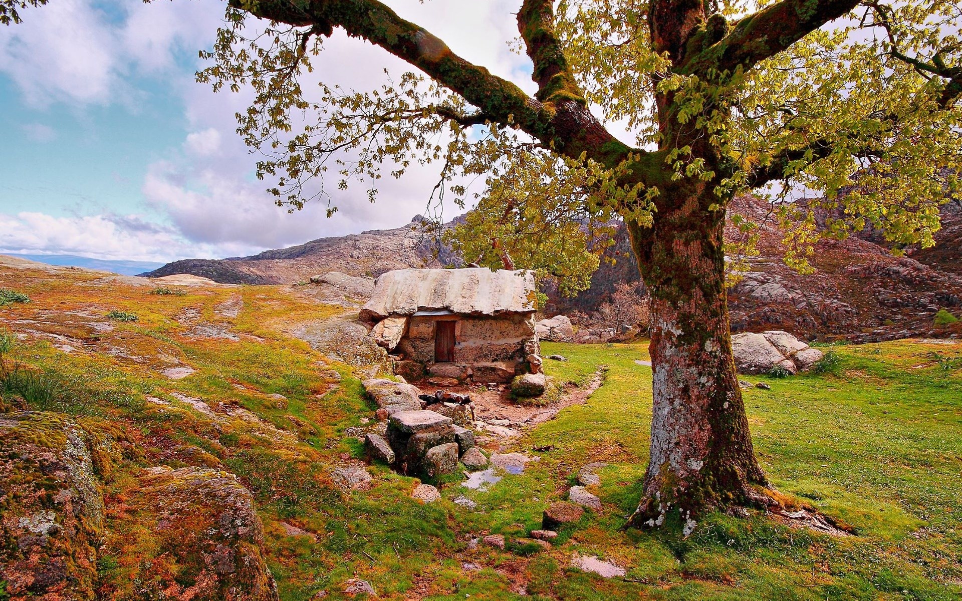 Stone hut and large tree in a rocky landscape HD Wallpaper