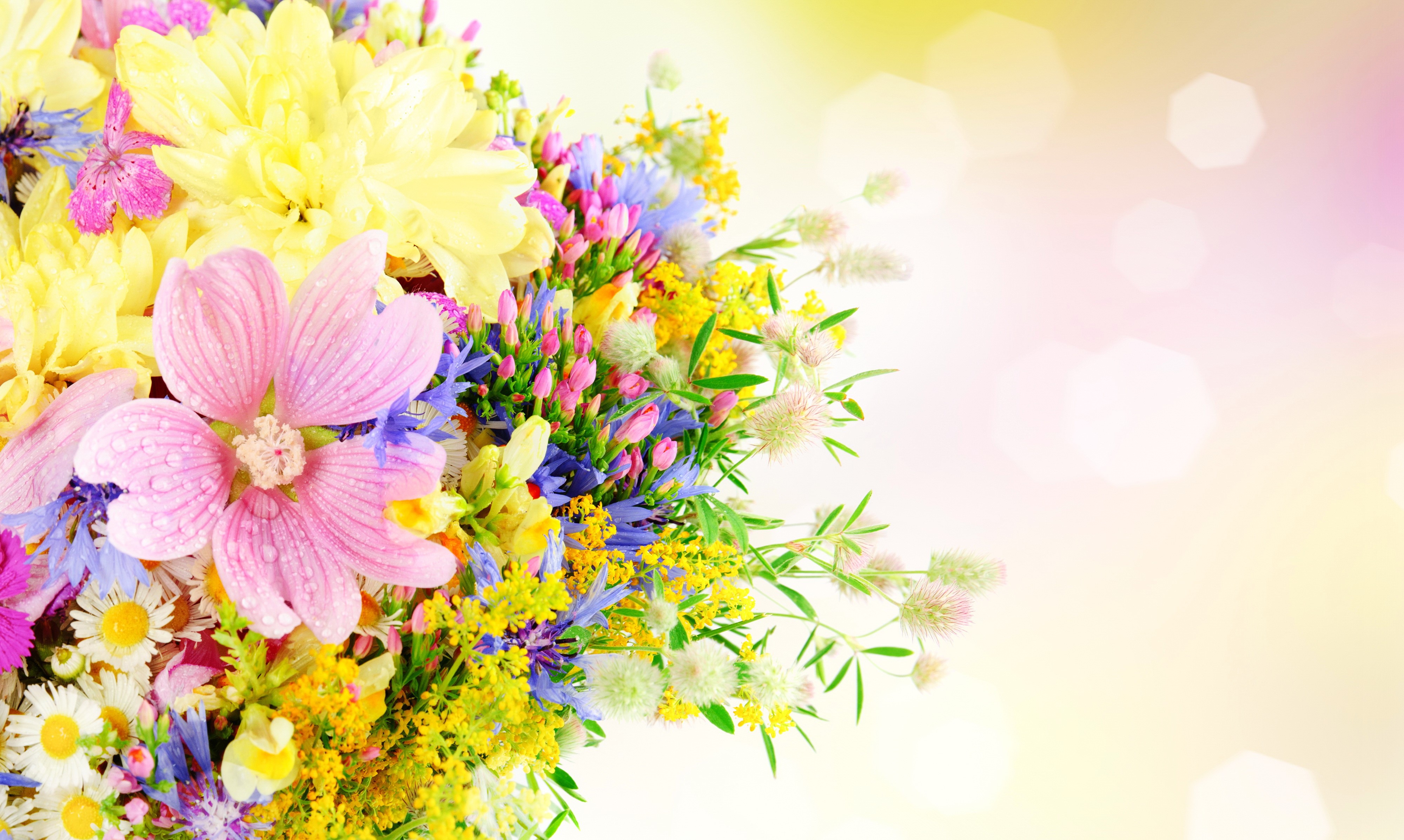 4K bouquet of wildflowers with bokeh background HD Wallpaper