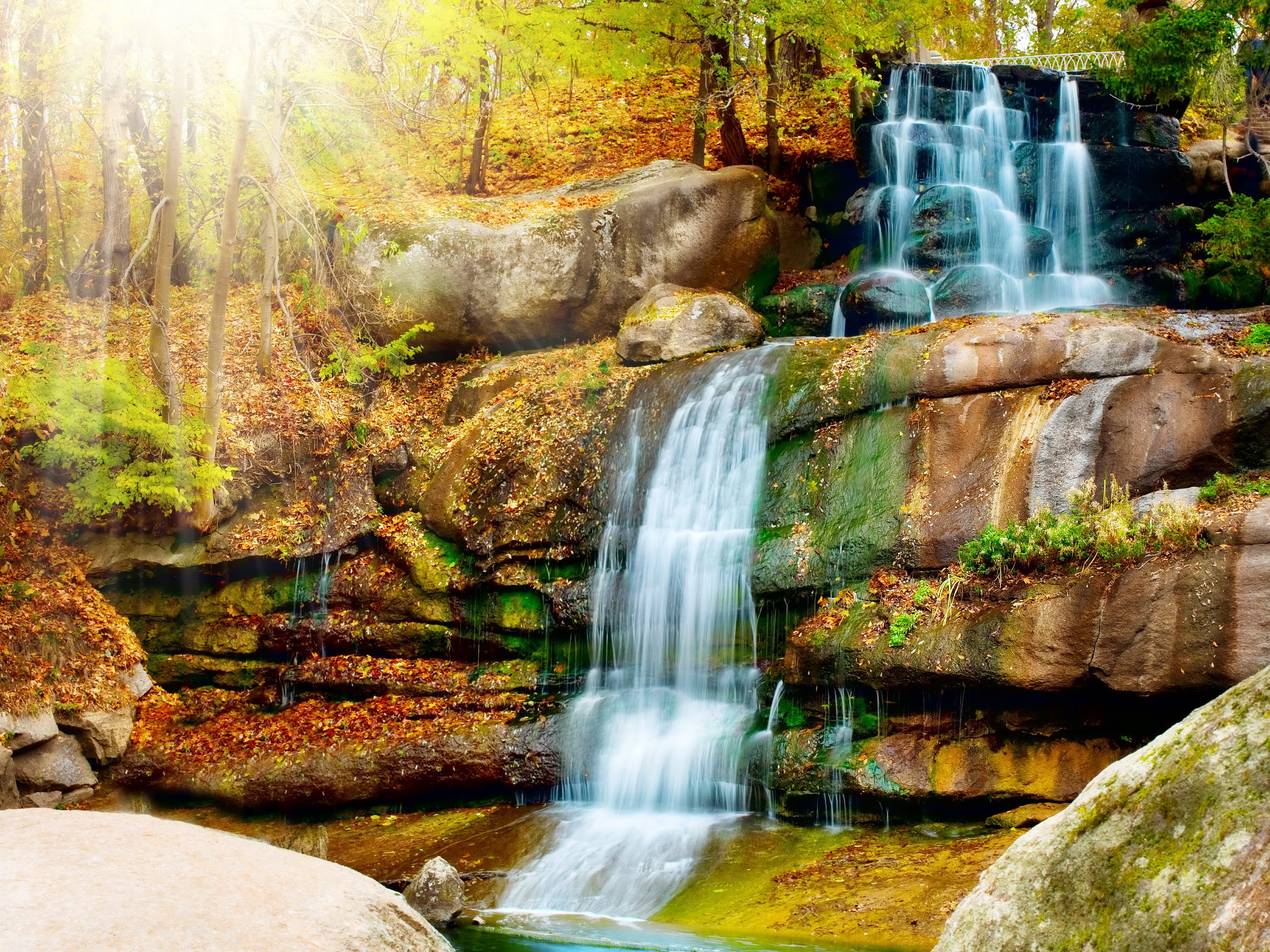 Waterfall cascading over rocks in autumn forest HD Wallpaper