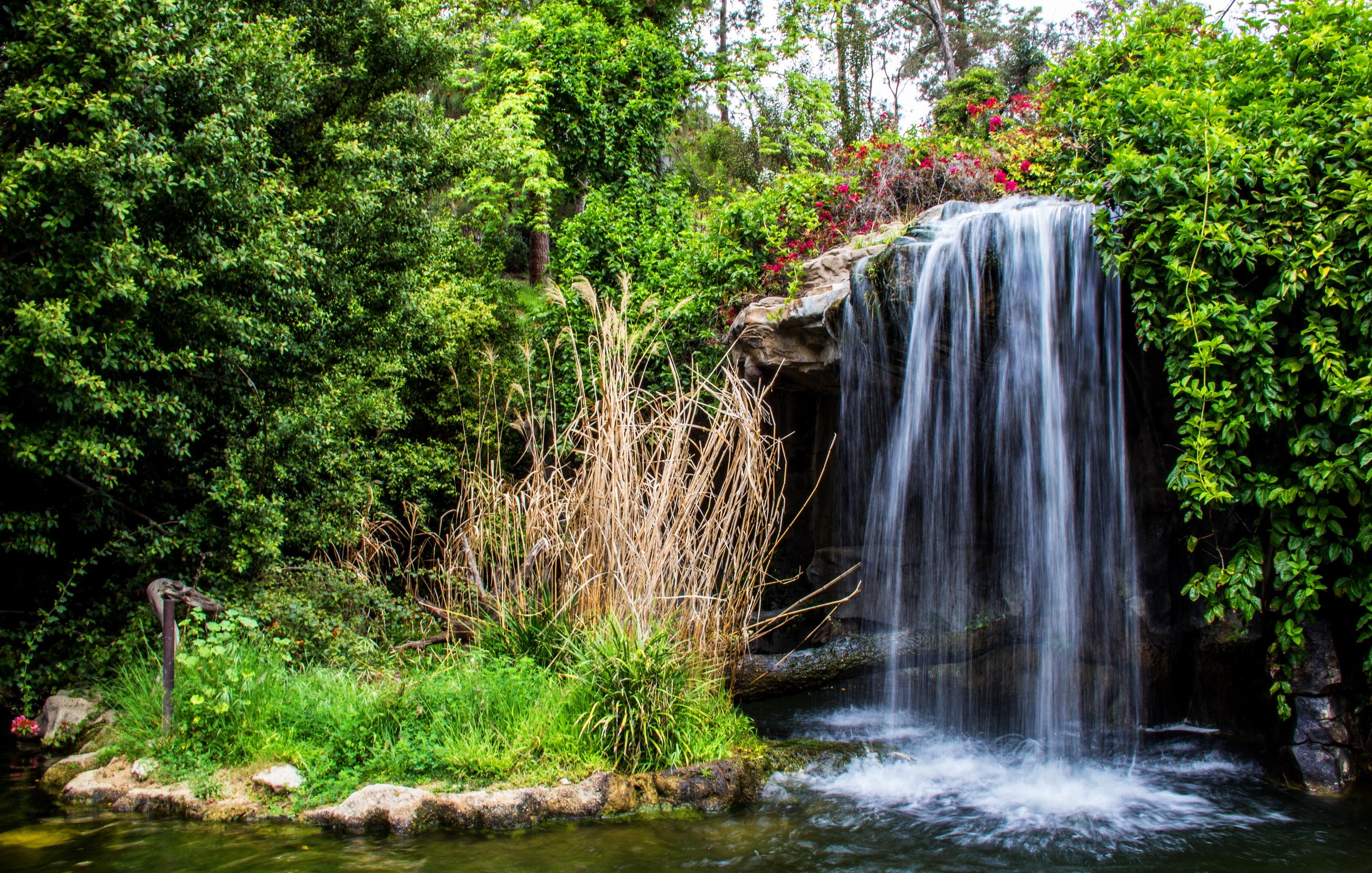 Waterfall in a lush green garden in California HD Wallpaper