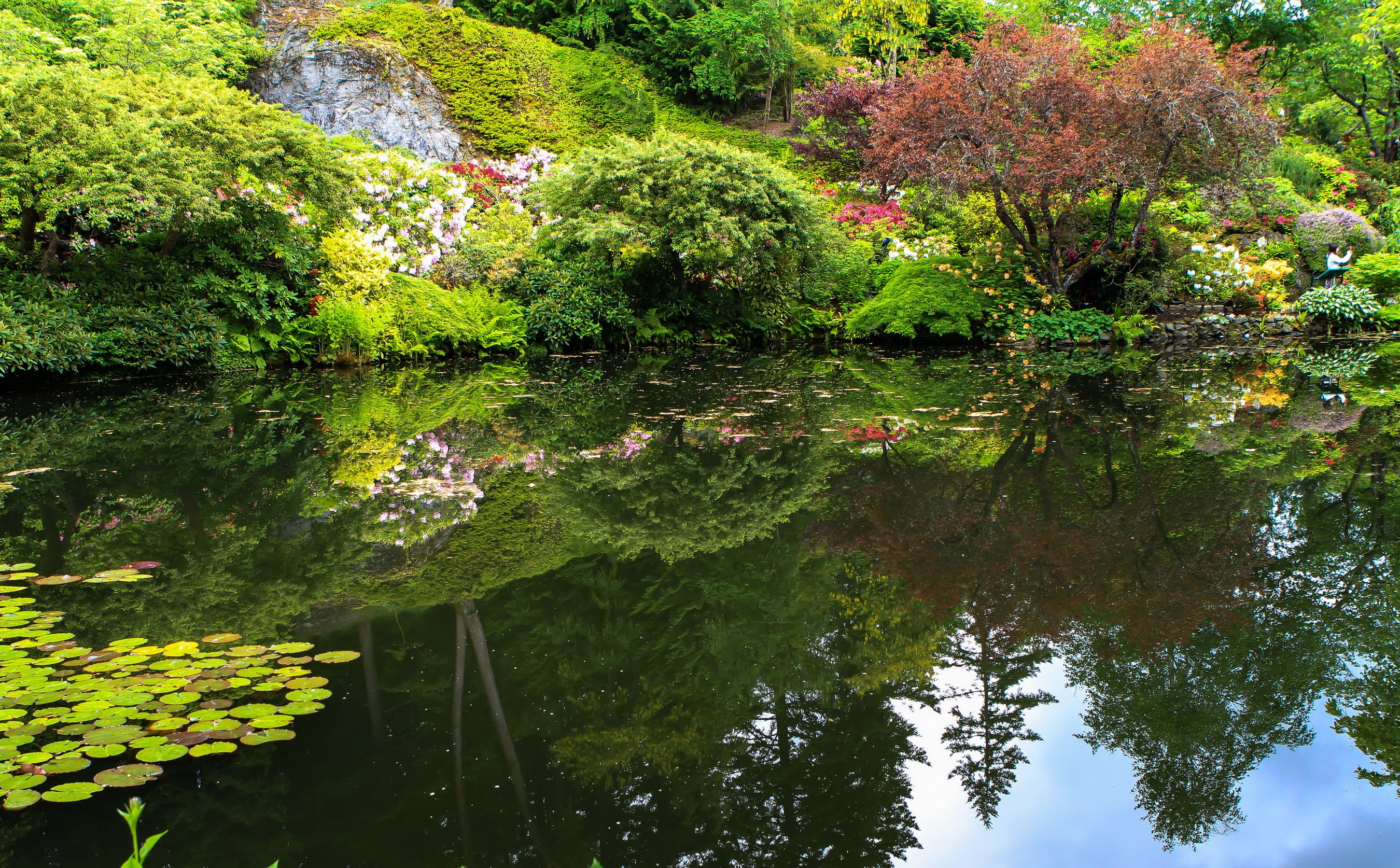 Butchart Gardens Canada Pond with Reflections HD Wallpaper