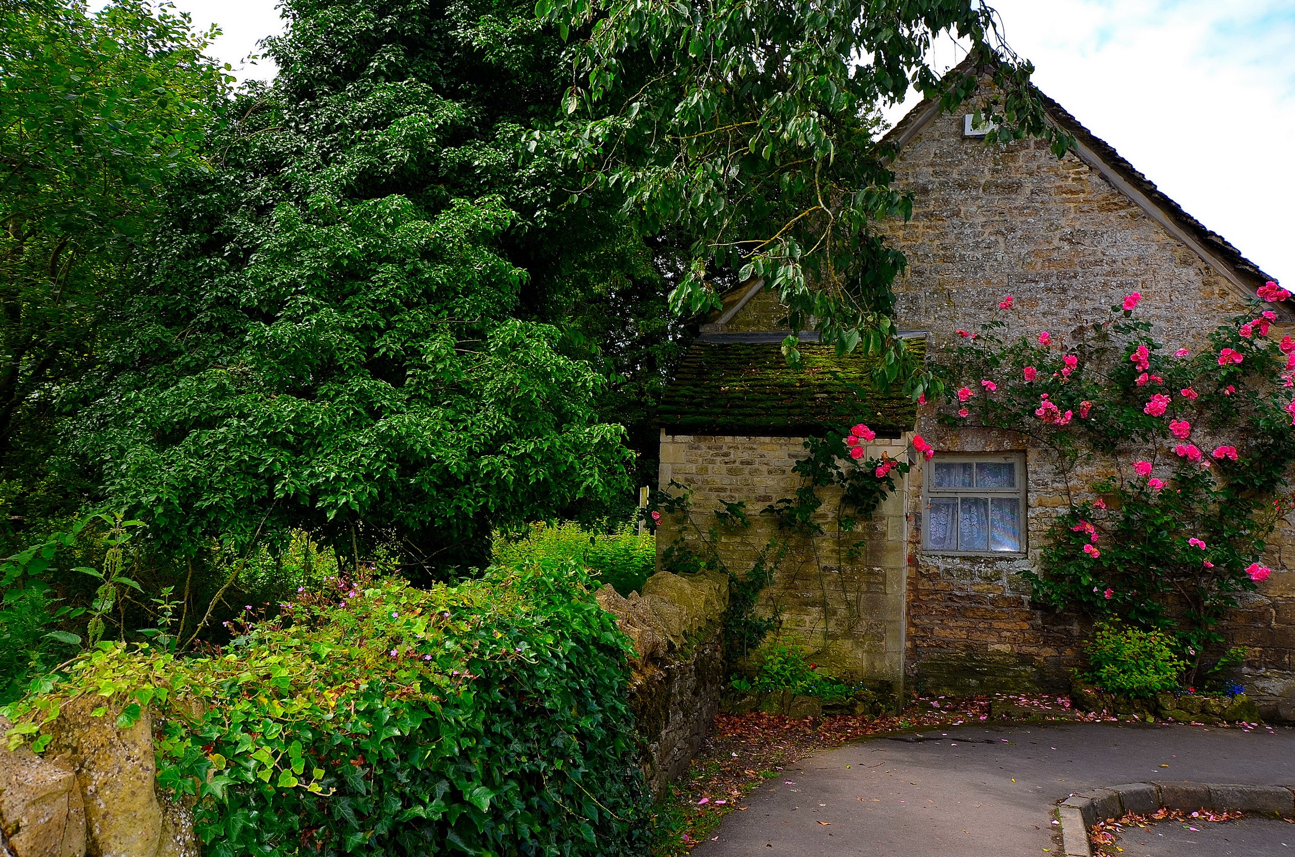 Stone cottage with pink roses in Bibury, England HD Wallpaper