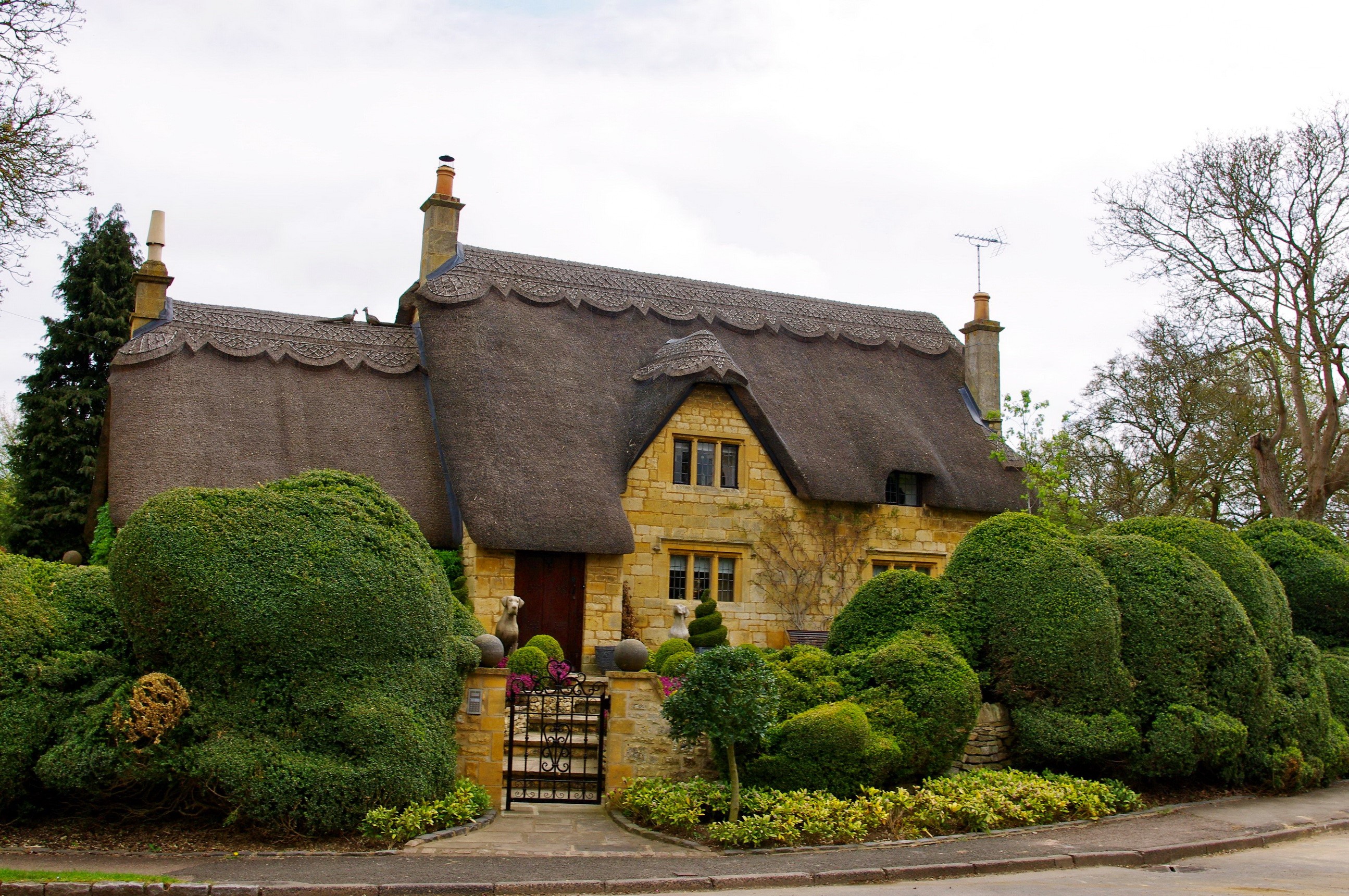 Thatched cottage with topiary garden in England HD Wallpaper