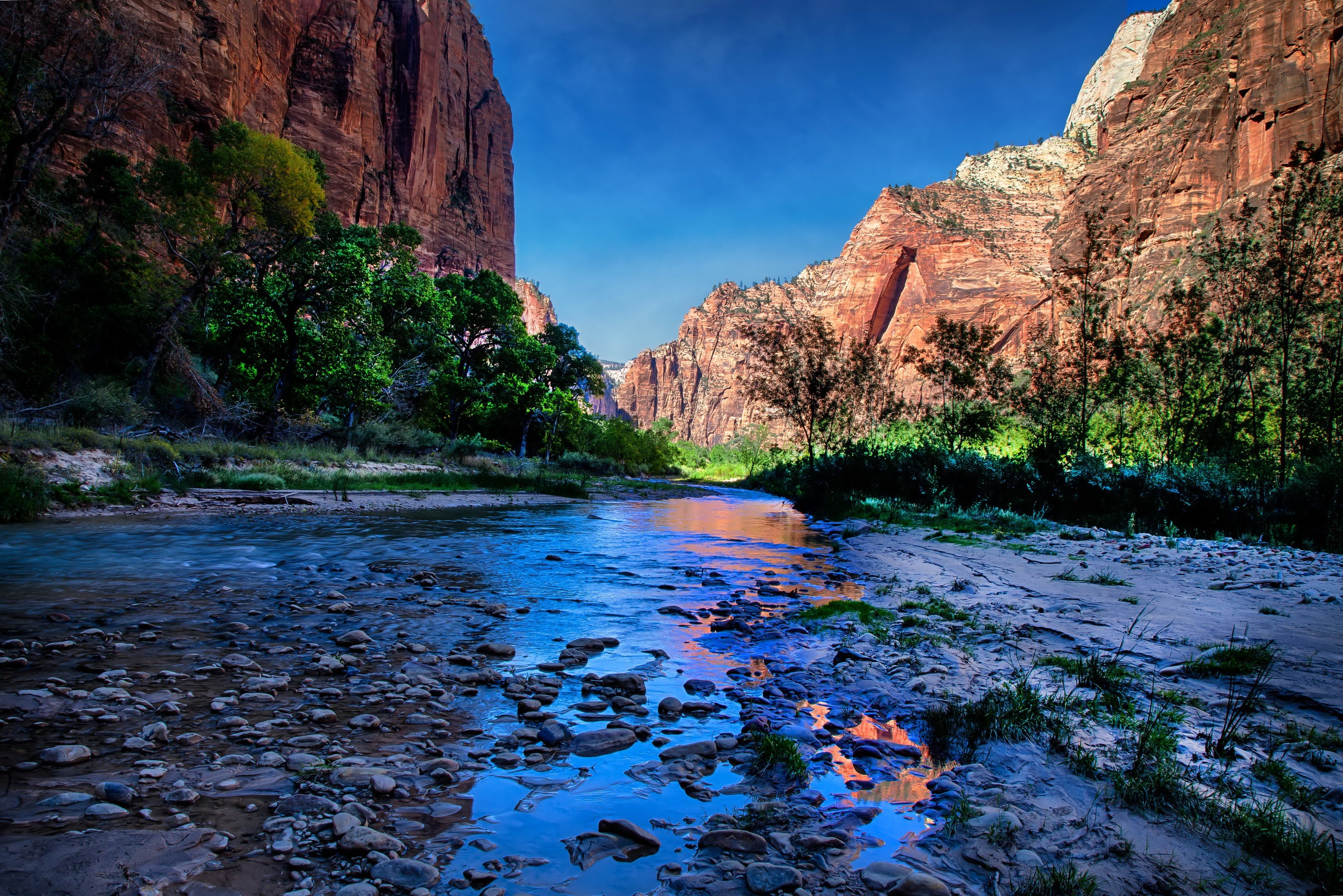 River flowing through Zion National Park canyons HD Wallpaper