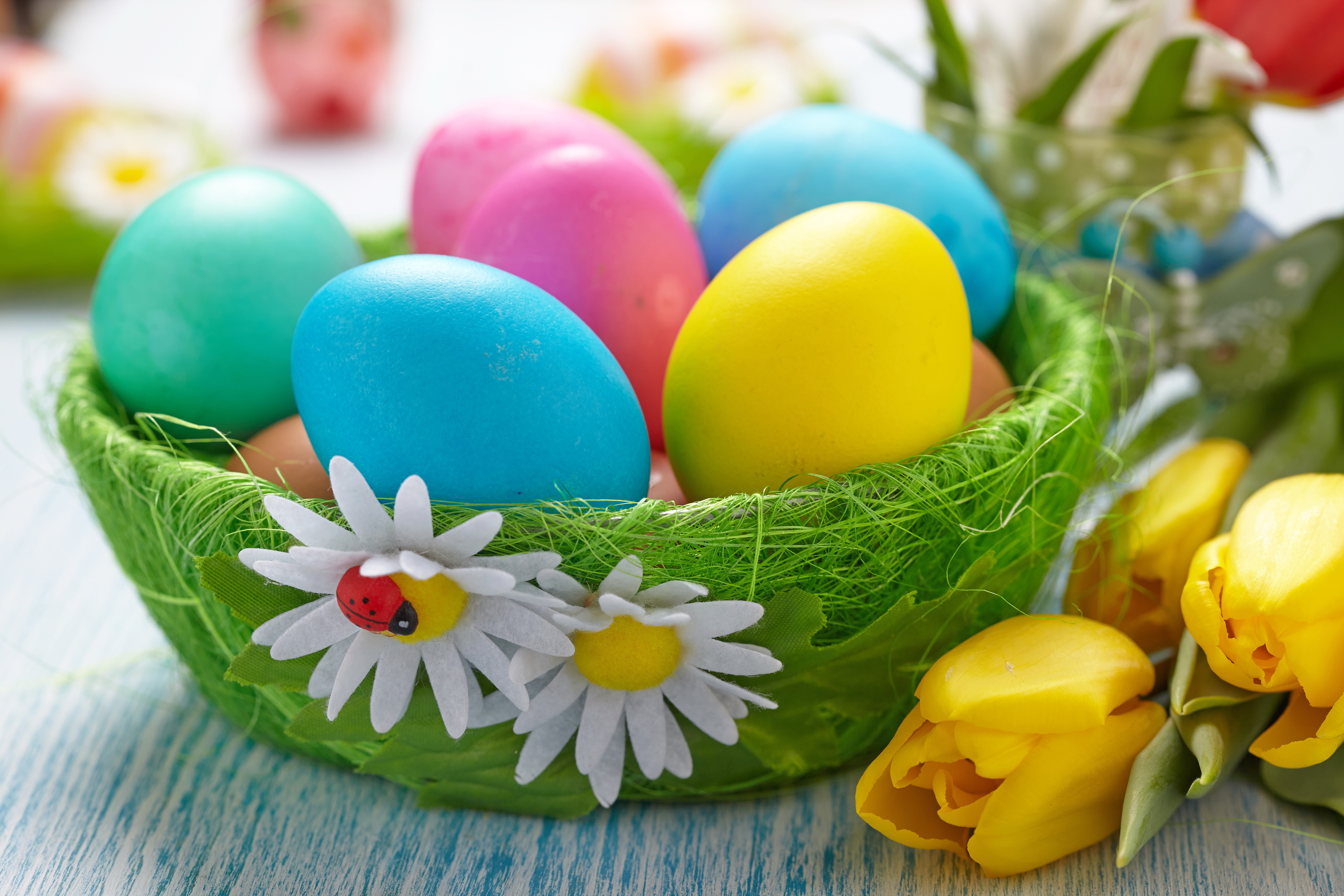 Easter Eggs in a Basket with Tulips HD Wallpaper