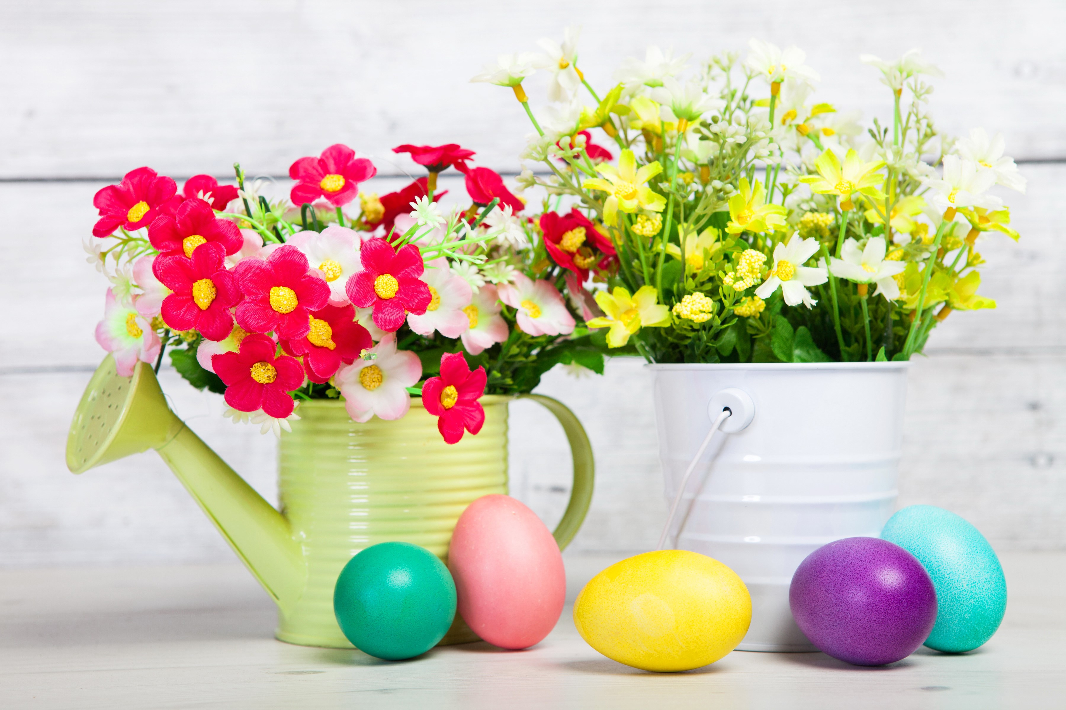 Easter eggs and flowers in watering can and bucket HD Wallpaper