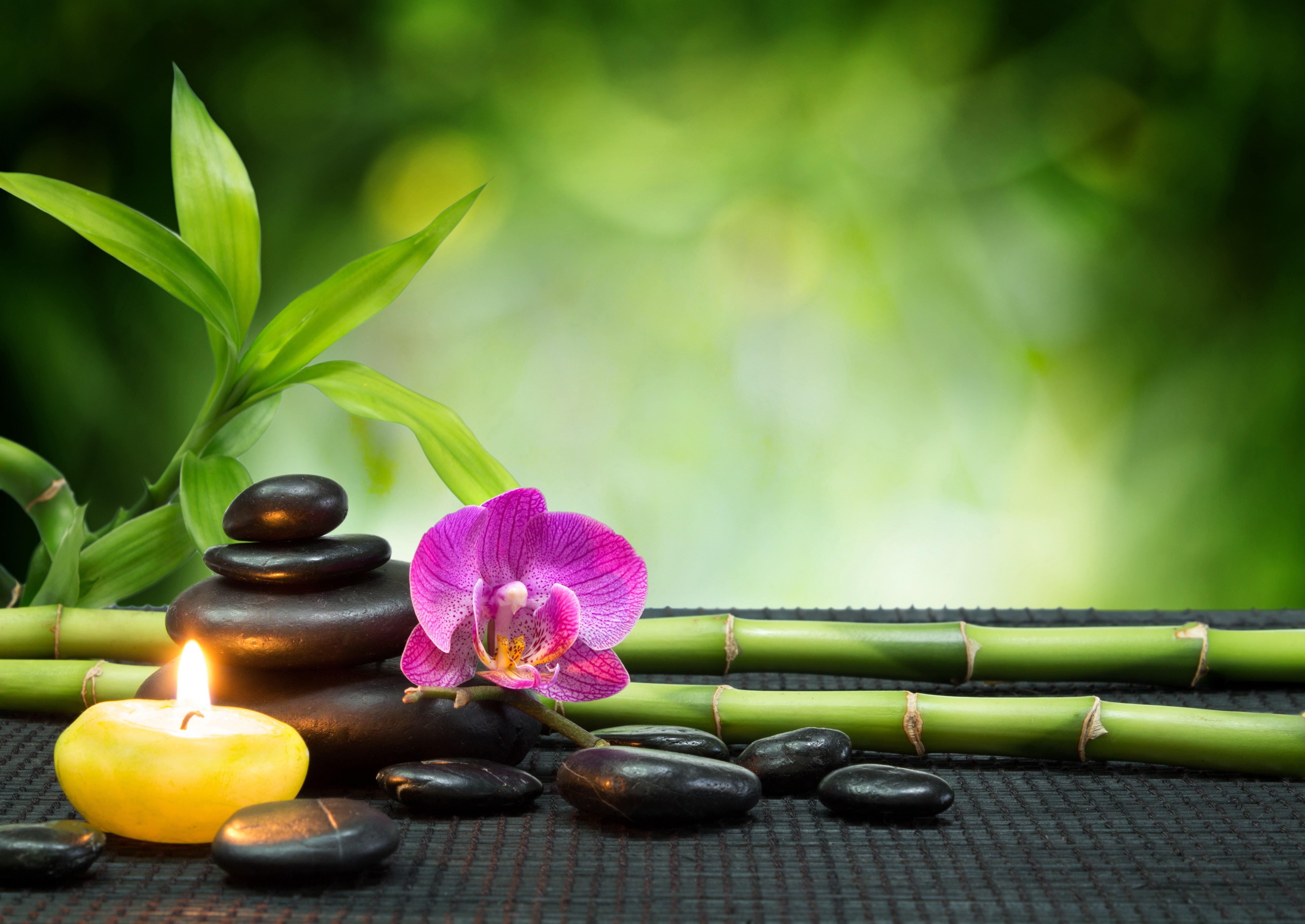 Spa still life with orchid, stones, bamboo, and candle HD Wallpaper