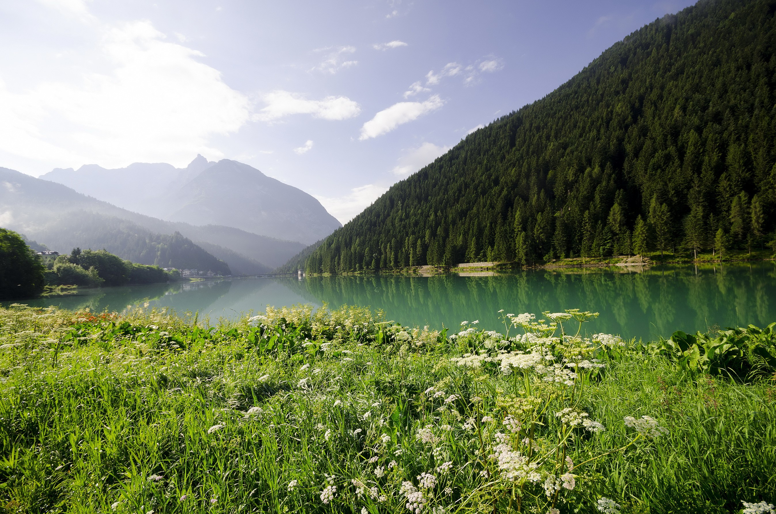 Lake and mountains with forest and grass HD Wallpaper