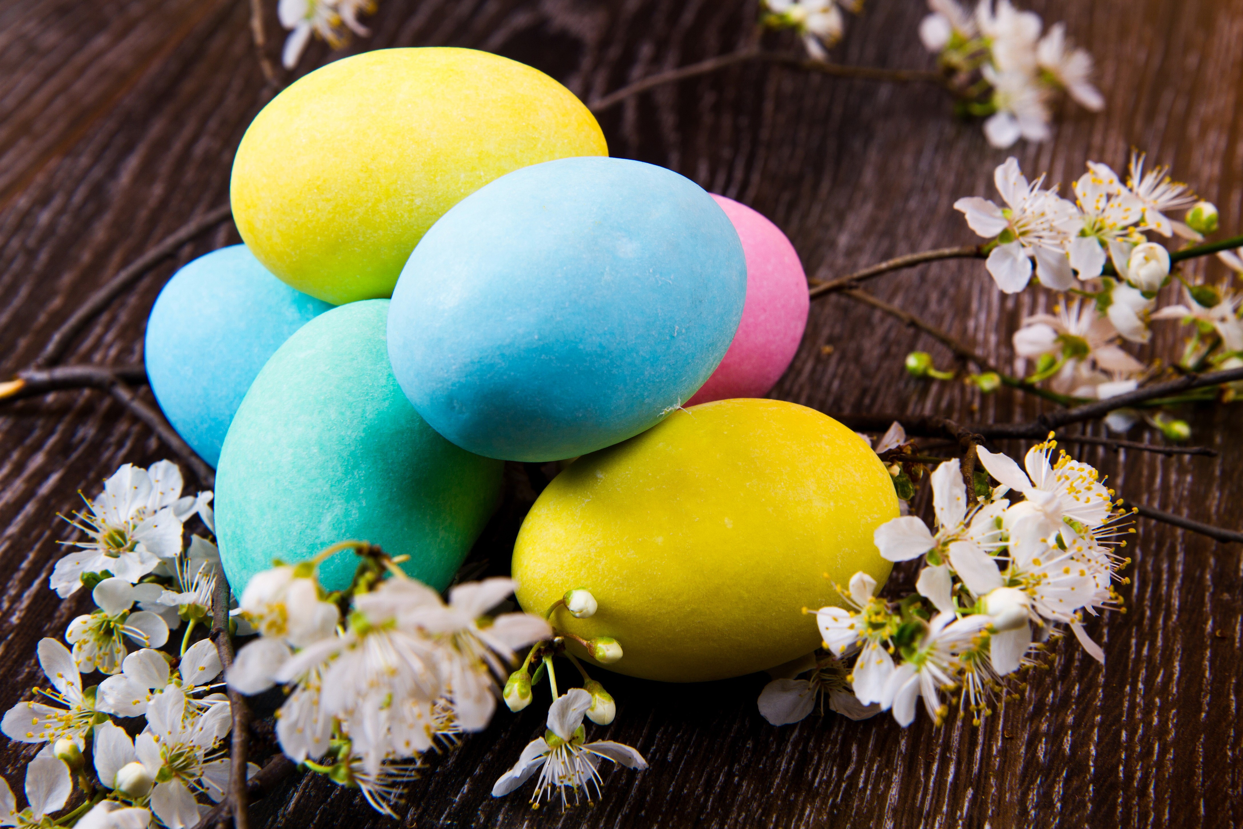 Easter Eggs with Cherry Blossoms on Wood HD Wallpaper