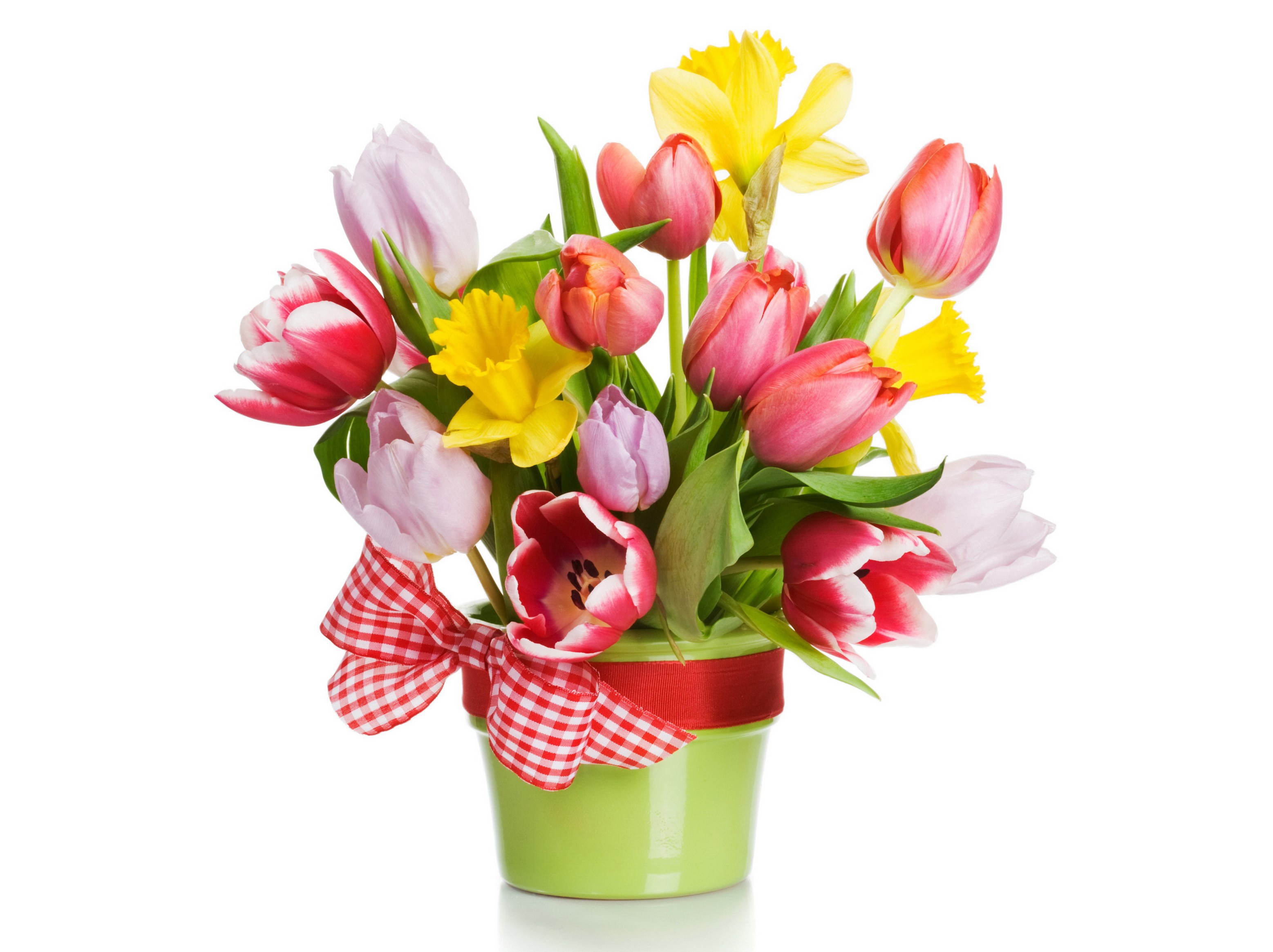 Bouquet of Tulips and Daffodils with a Bow HD Wallpaper