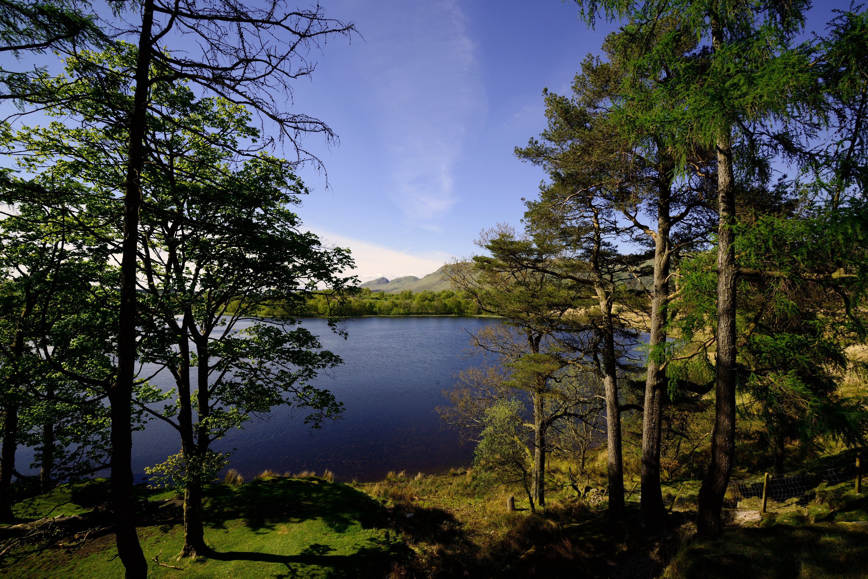 Lake and trees in Scotland HD Wallpaper
