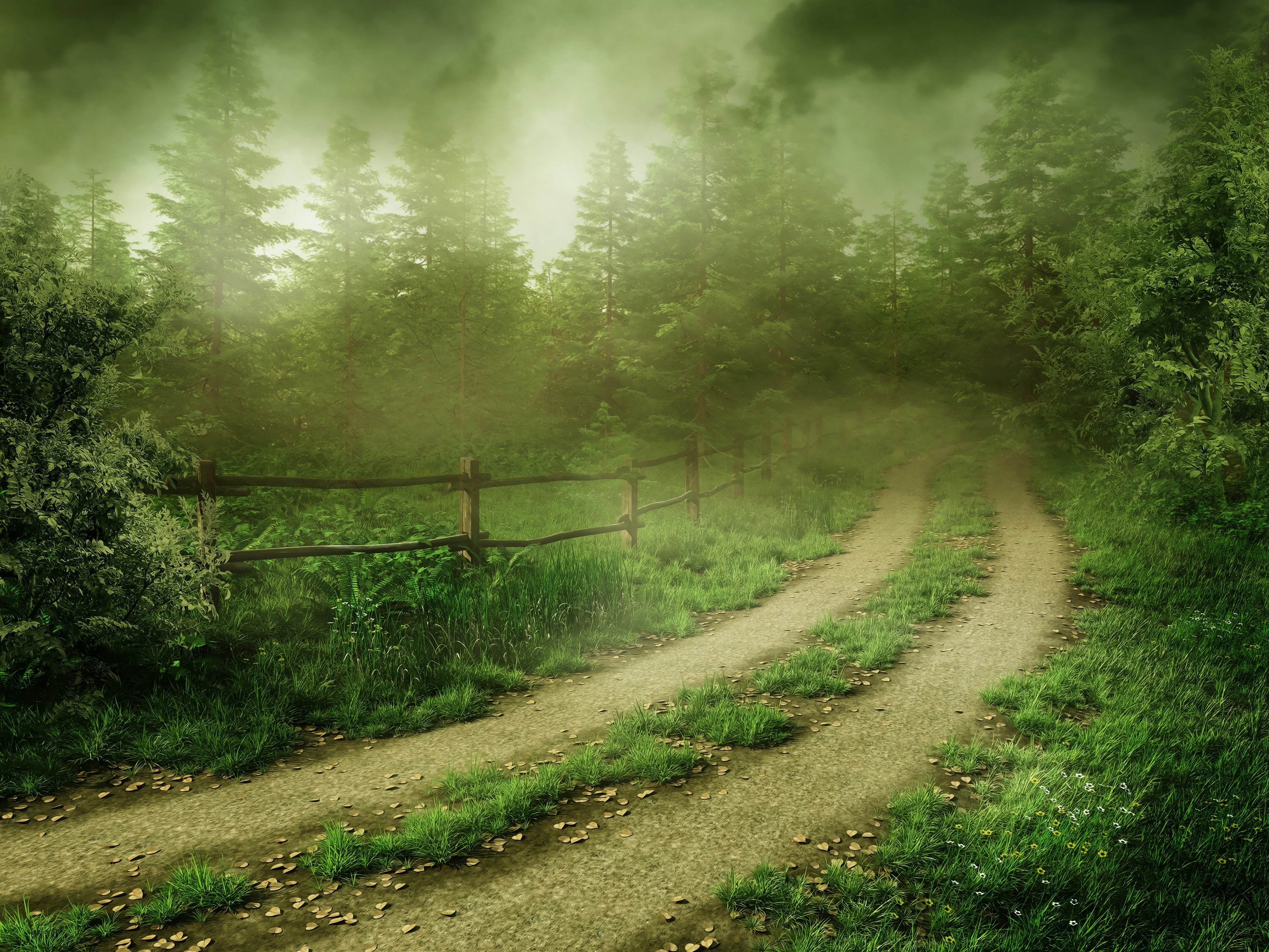 Foggy Forest Road with Wooden Fence HD Wallpaper