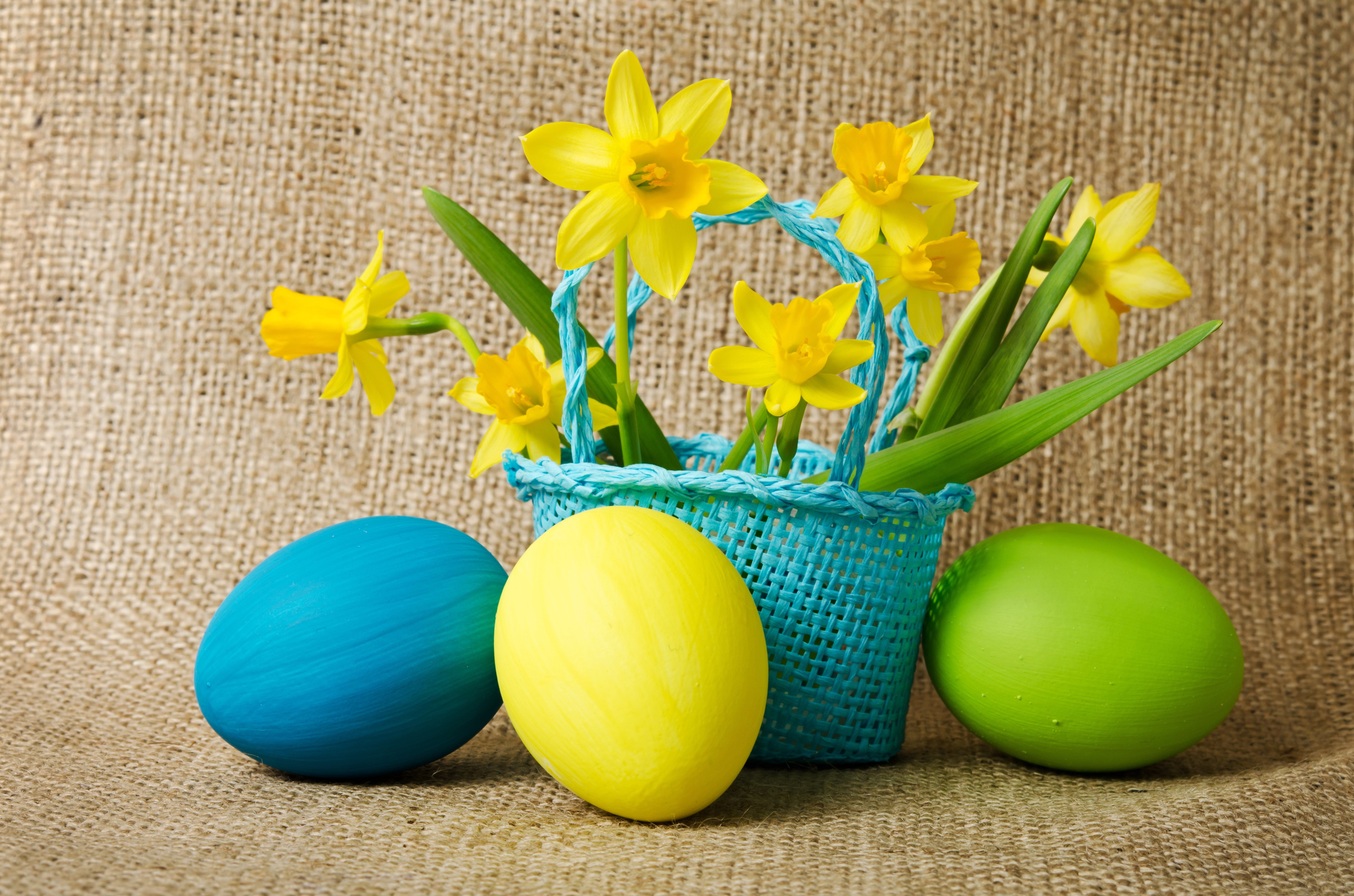 Easter Daffodils and Eggs in Wicker Basket HD Wallpaper