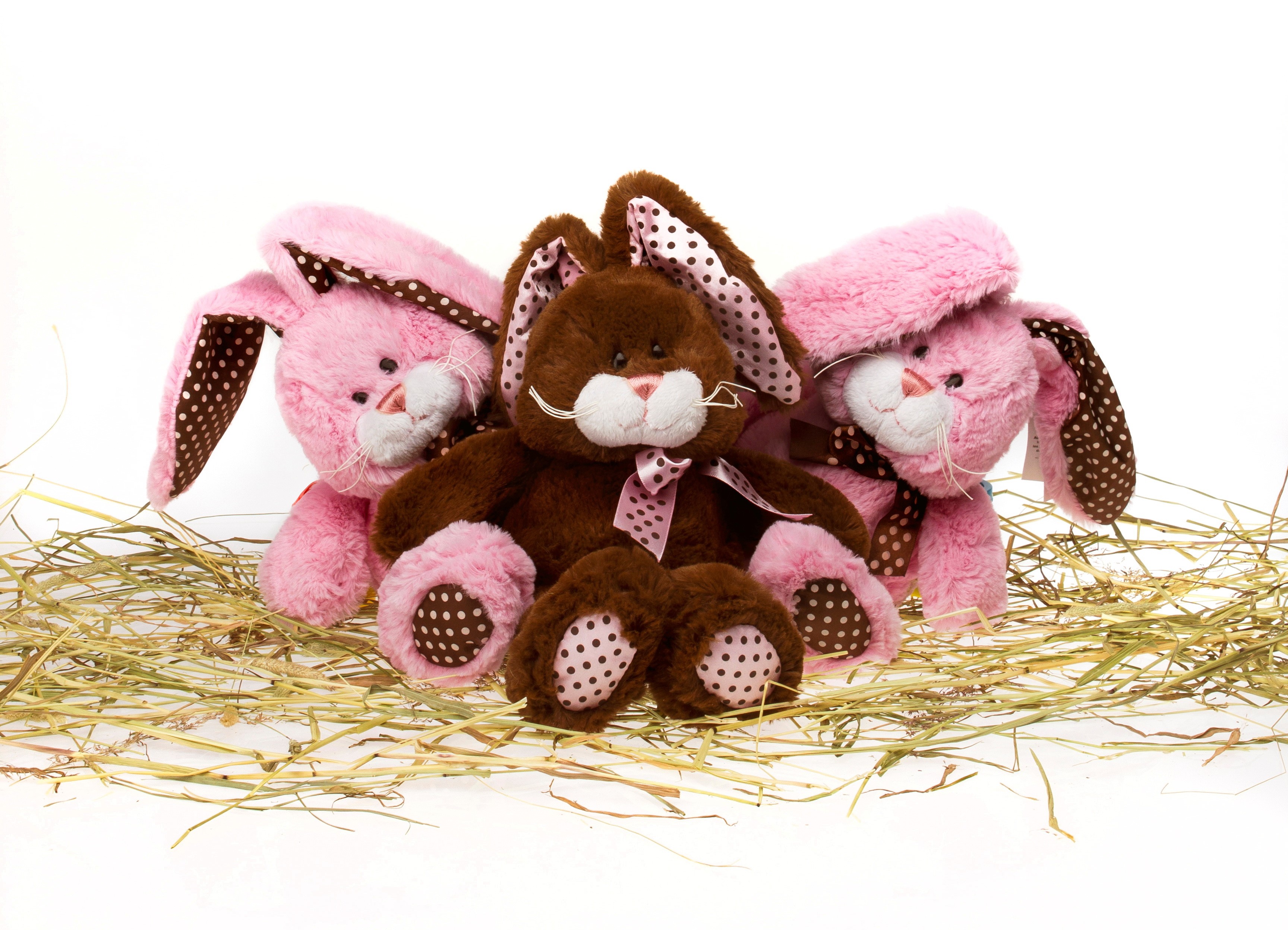 Three stuffed bunnies on hay HD Wallpaper